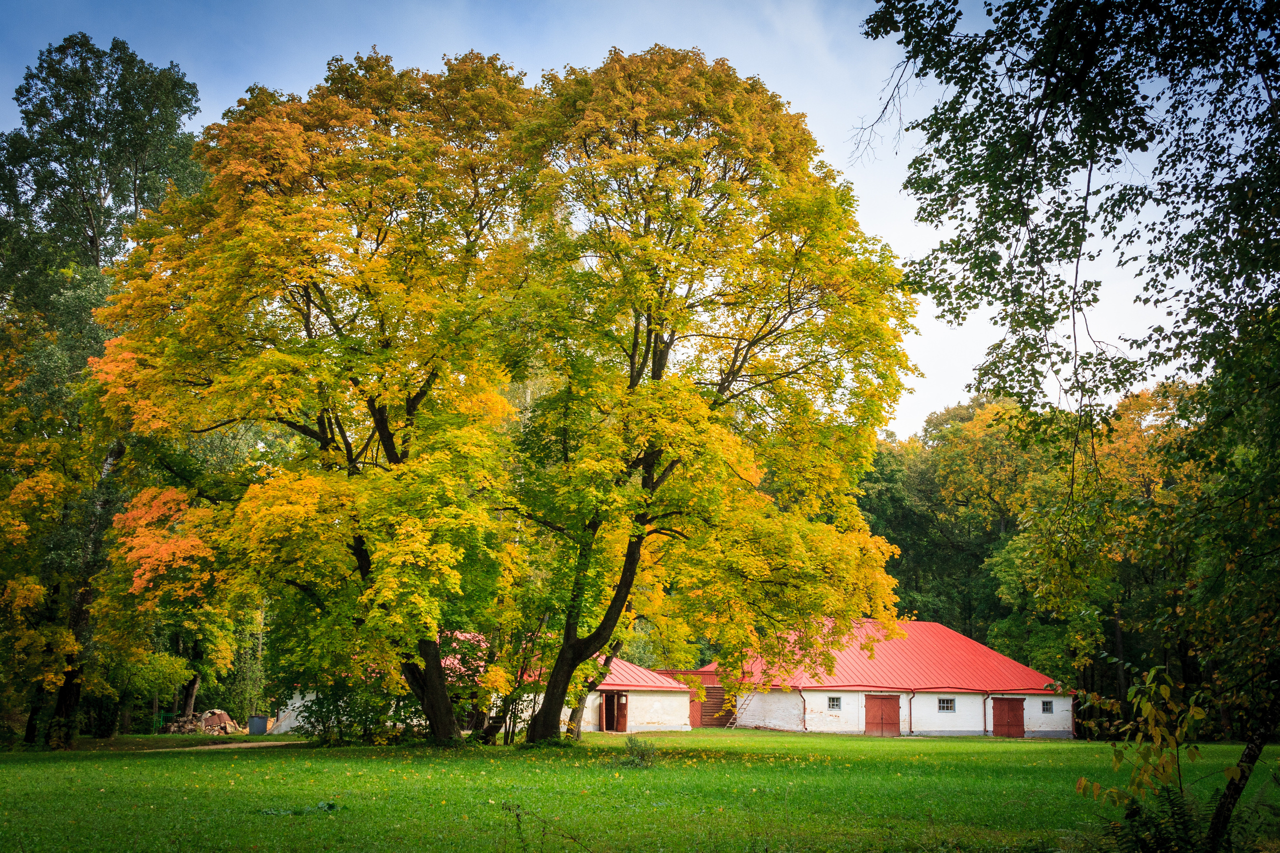 Пейзаж — Спасское-Лутовиново. Фотограф Сергей Старых. Мценск