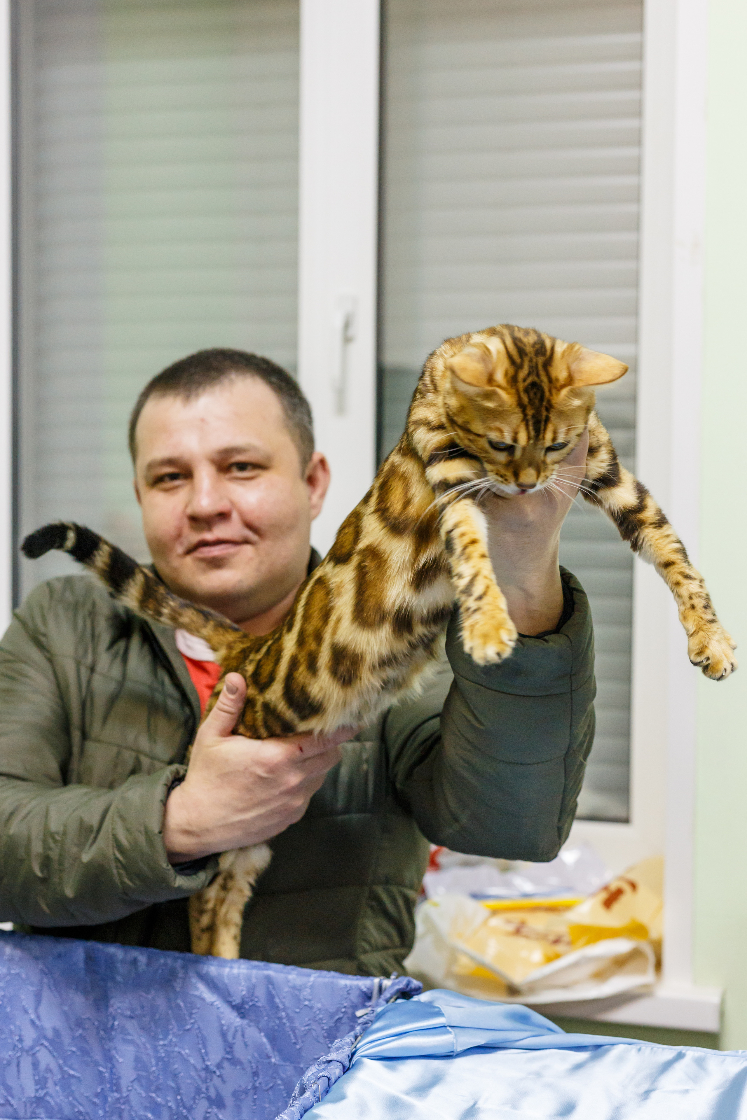 Кошки. Фотограф Сергей Старых. Мценск