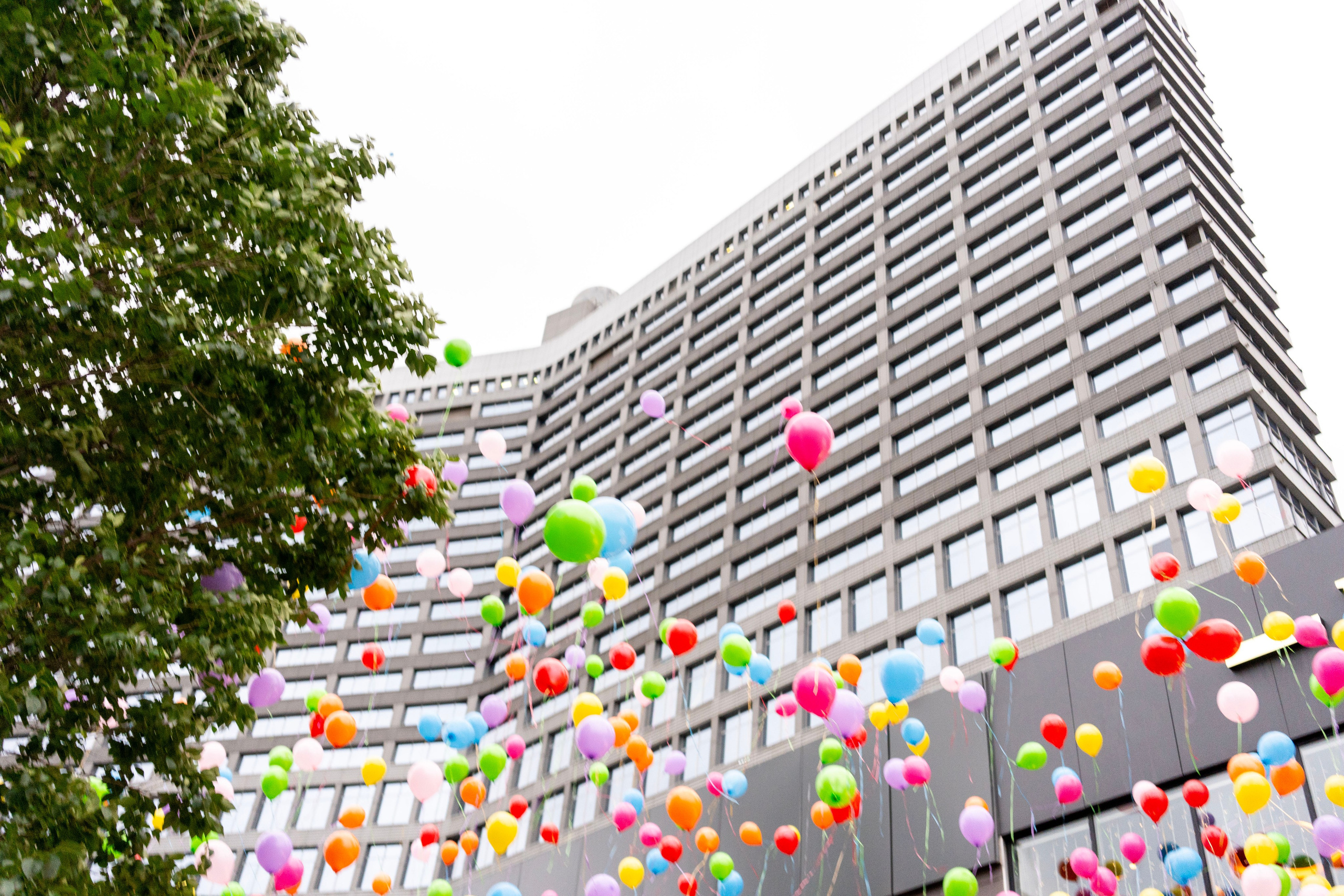 Выпускные 11 кл. Фотограф Юлия Попова