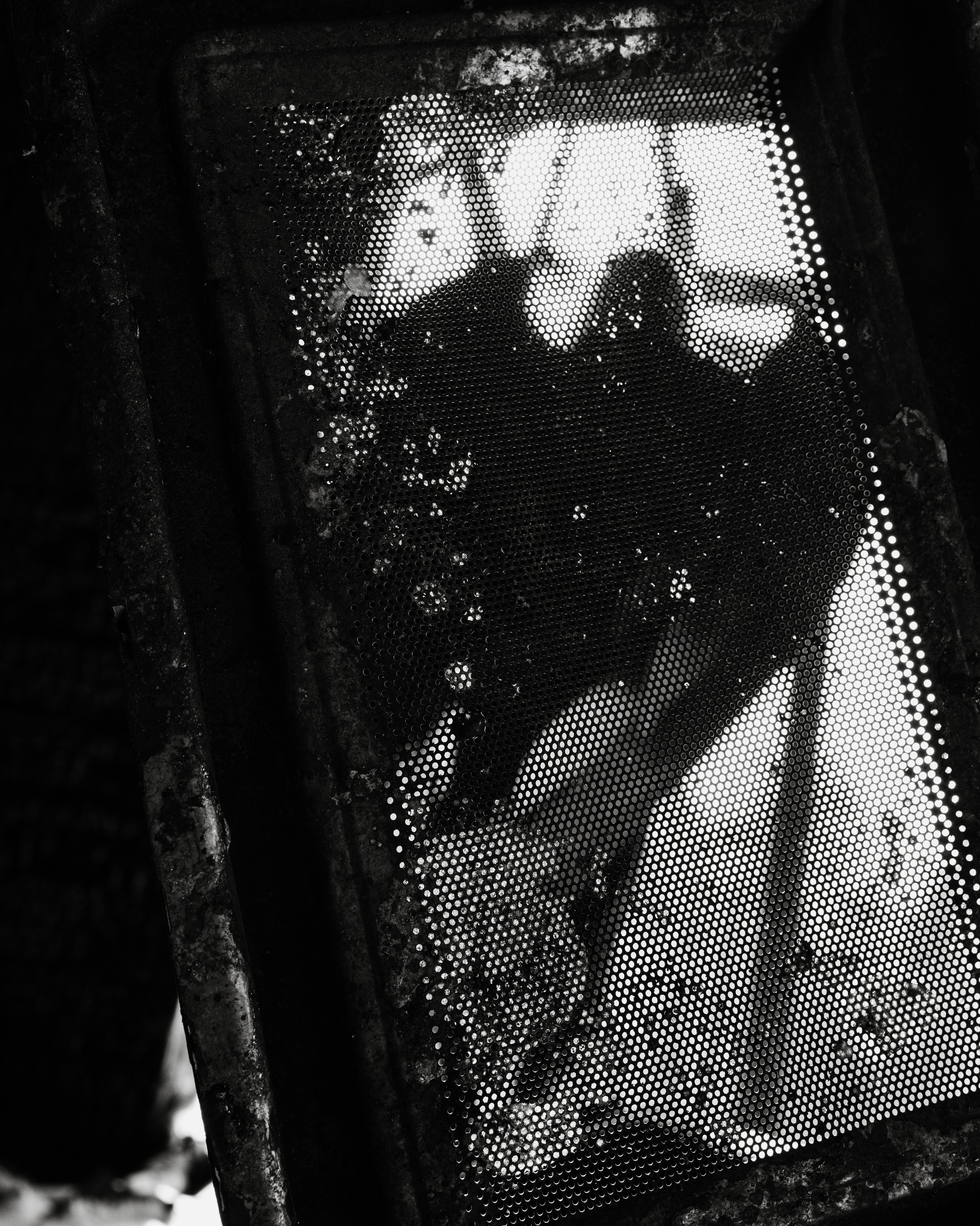 Феникс. Екатерина Пашкова, фотограф, видеограф в Томске