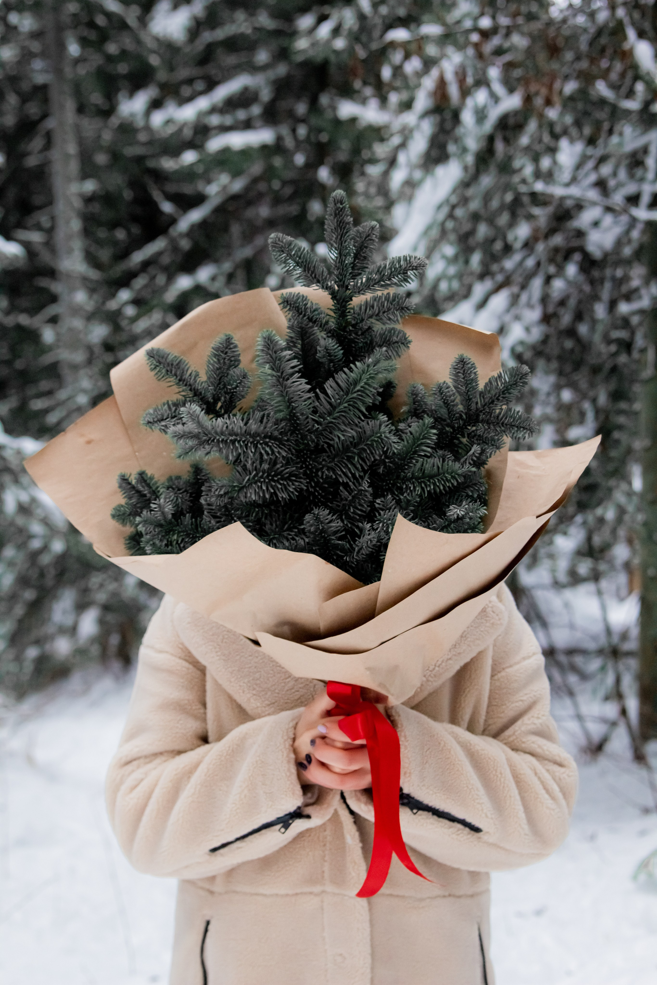 Саша, Дима, Лёня и Шерлок :). Екатерина Пашкова, фотограф, видеограф в Томске