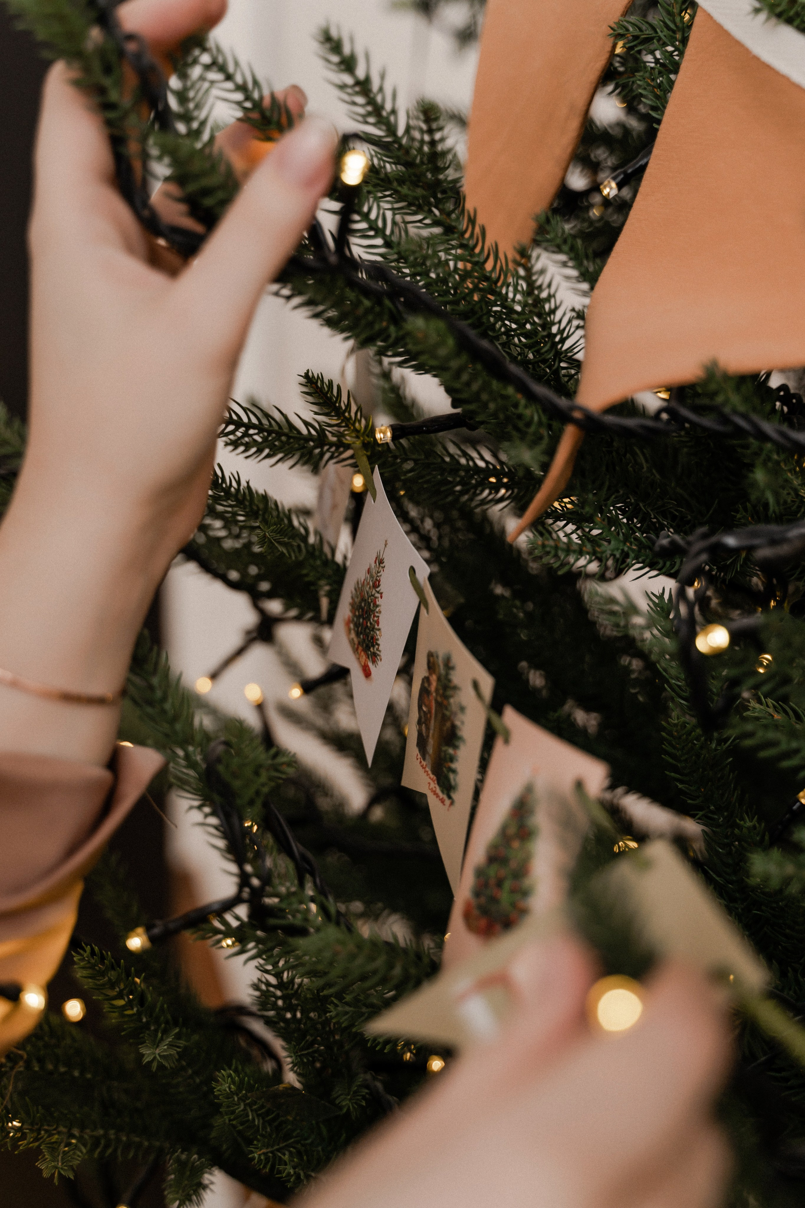 Студия Фрида. Фотограф Алина Филимонова Тверь