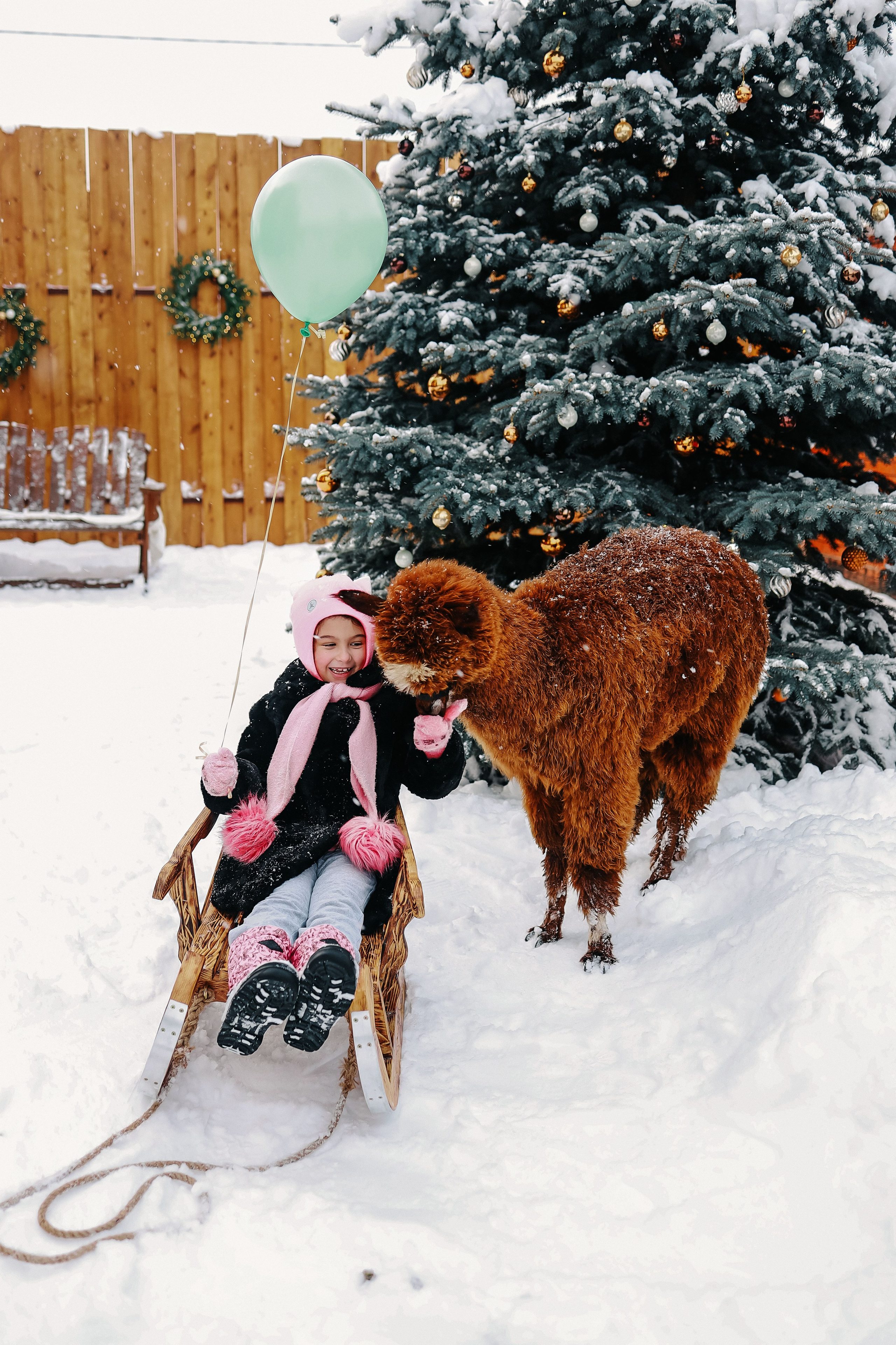 Семейная фотосессия с Альпакой. Иванова Ирина Свадебный и семейный фотограф г. Уфа