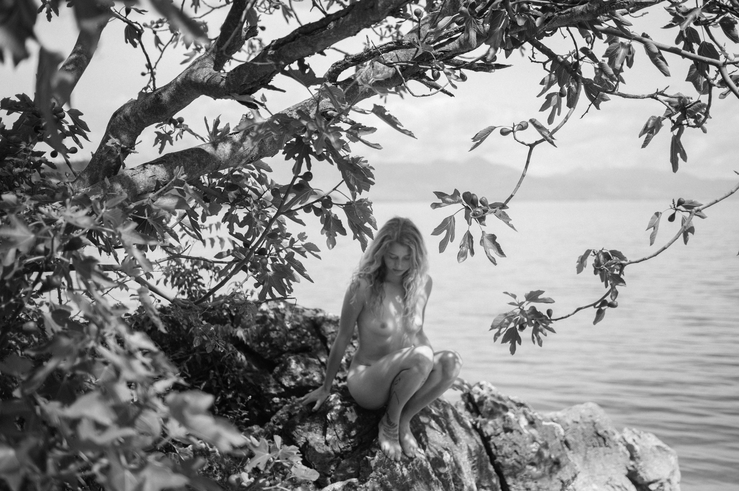 Vi. Fotograf Beograd — Tsvetkova Marija