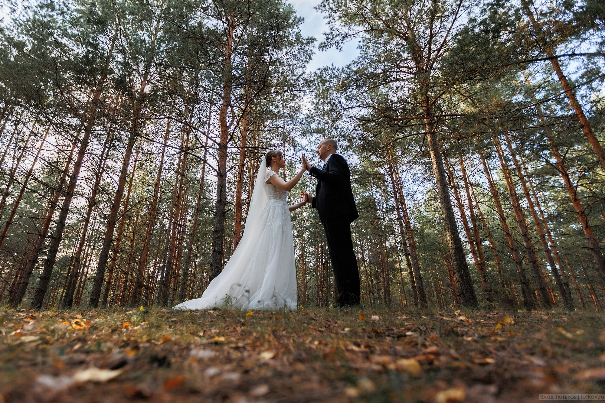 Алина и Гена. Свадебная фотосъёмка в Брянске | Влад и Ирина Тютьковы