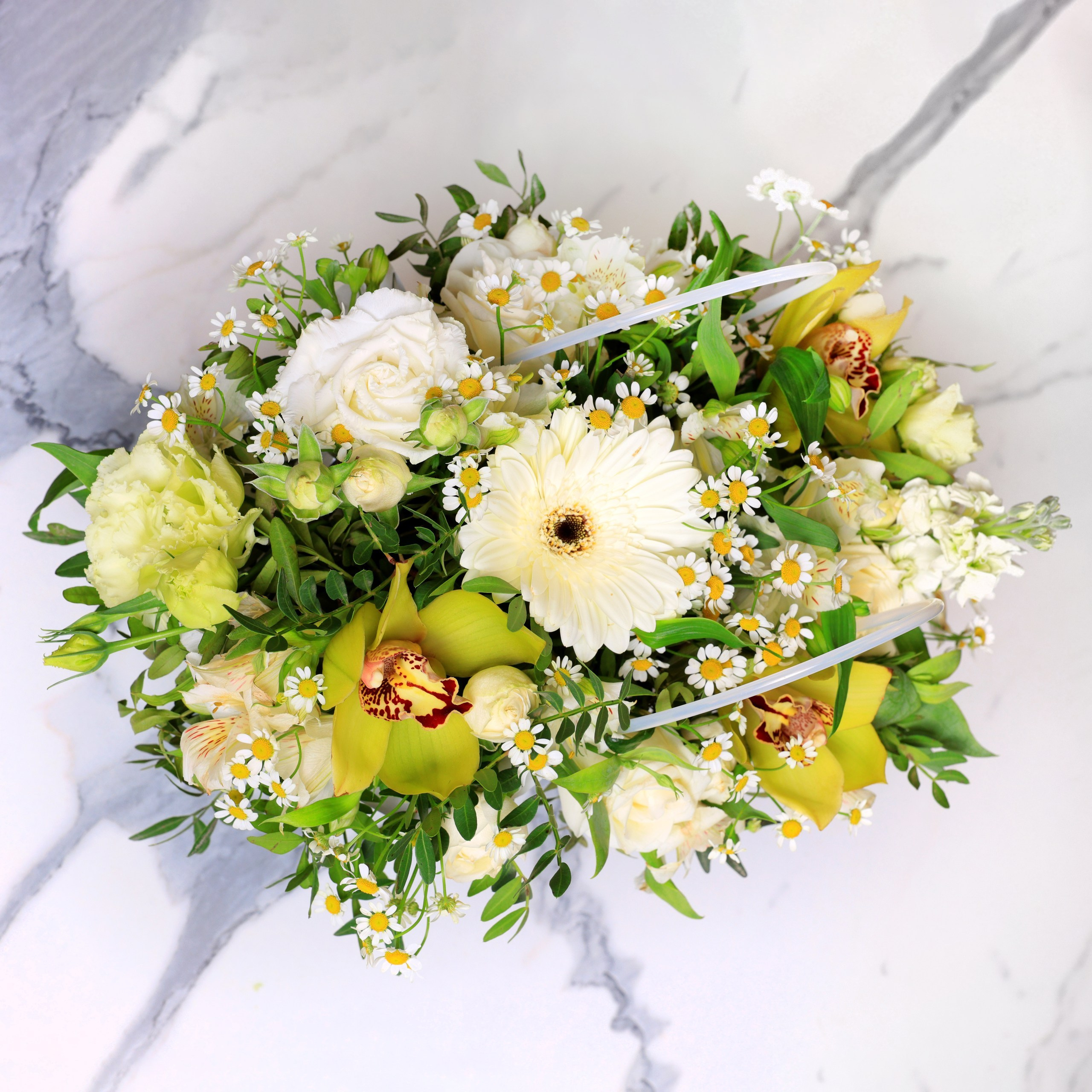 Цветы. Фотограф в Туле Крупский АнДРей. Фотостудия «КАДР71» в Туле