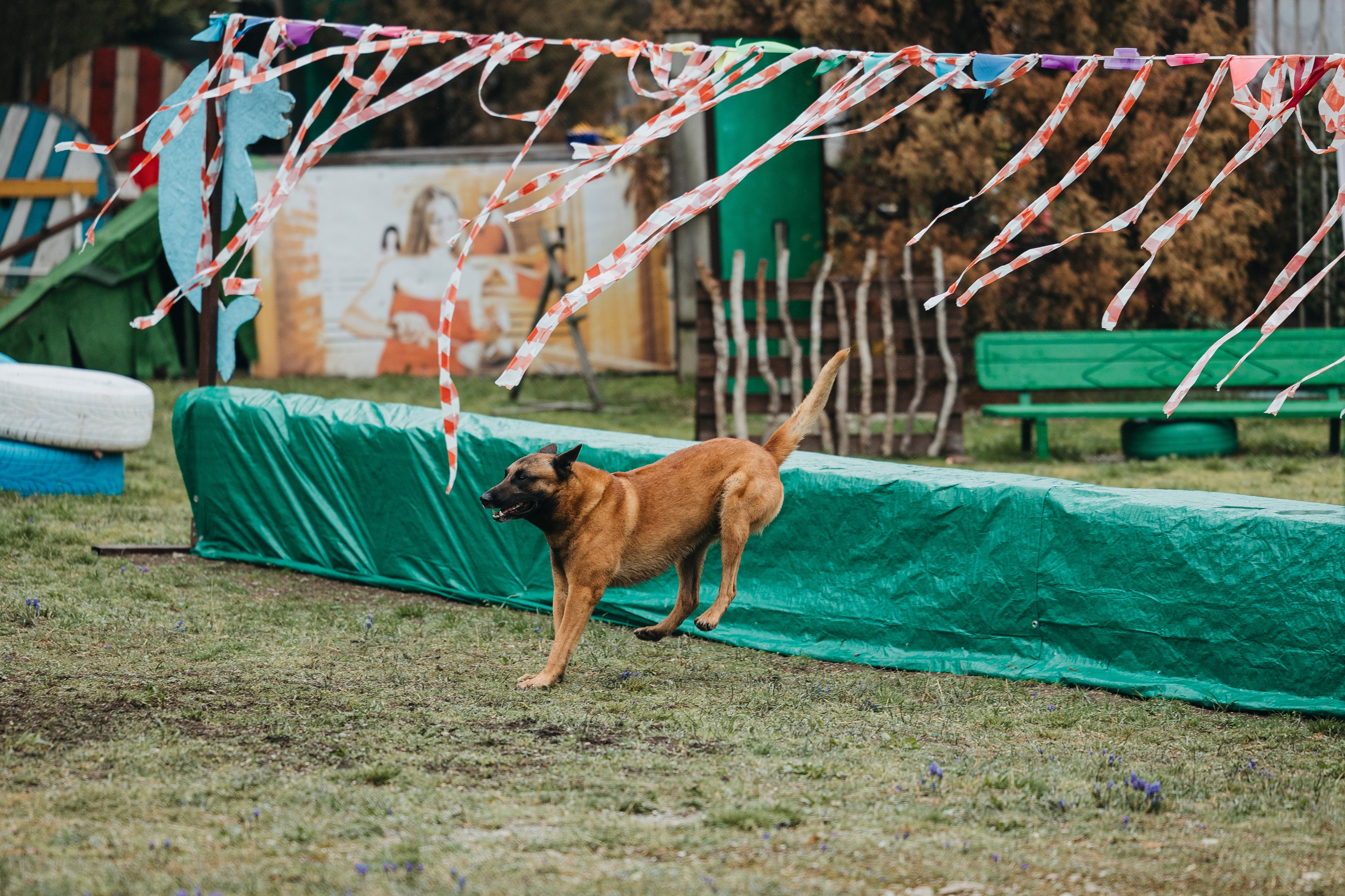 Геленджик Мондьоринг. Фотограф-анималист Анна Маринич