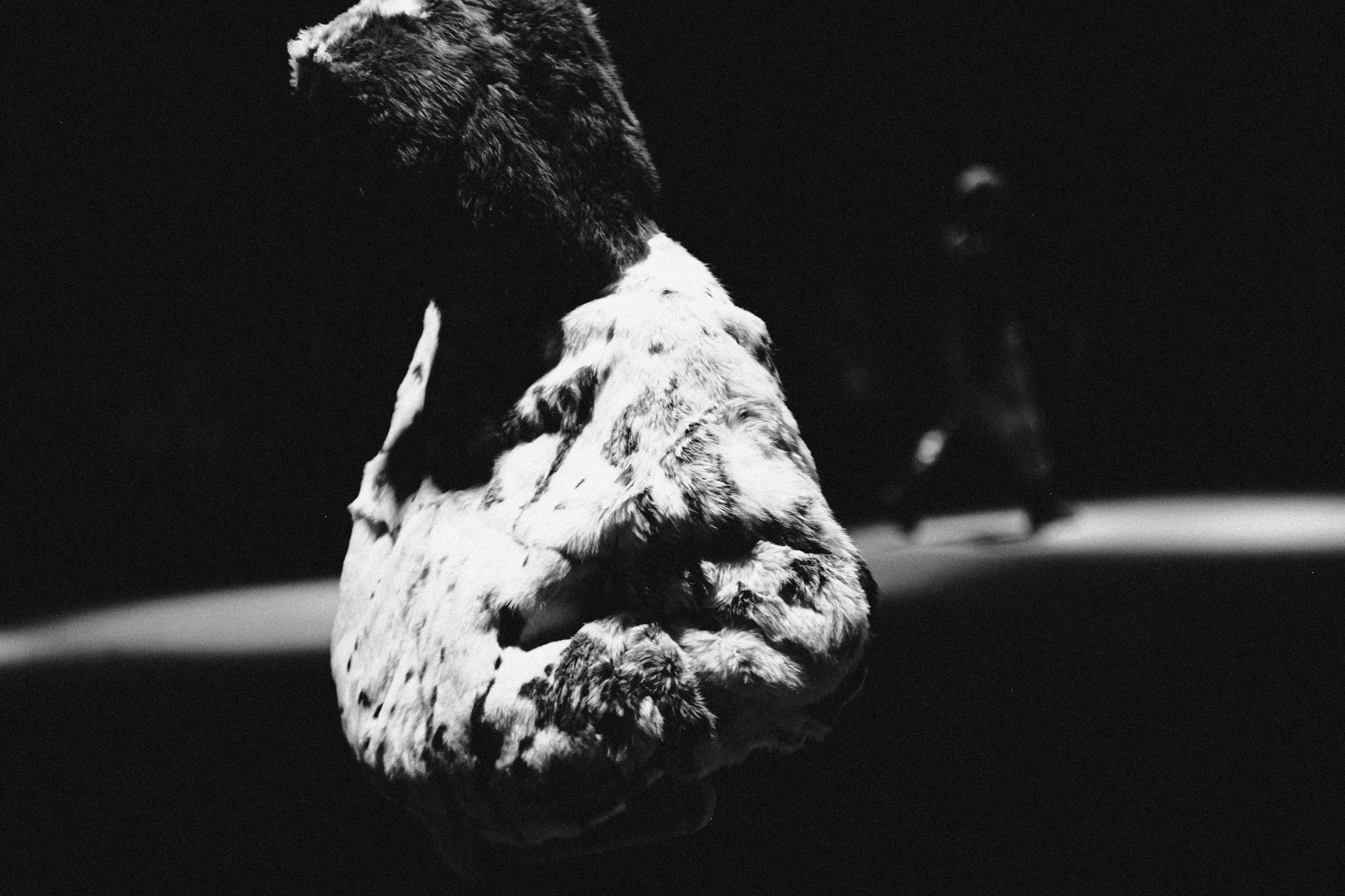 AUXI Fashion Show 2025. Фотограф Элина Брусенцева