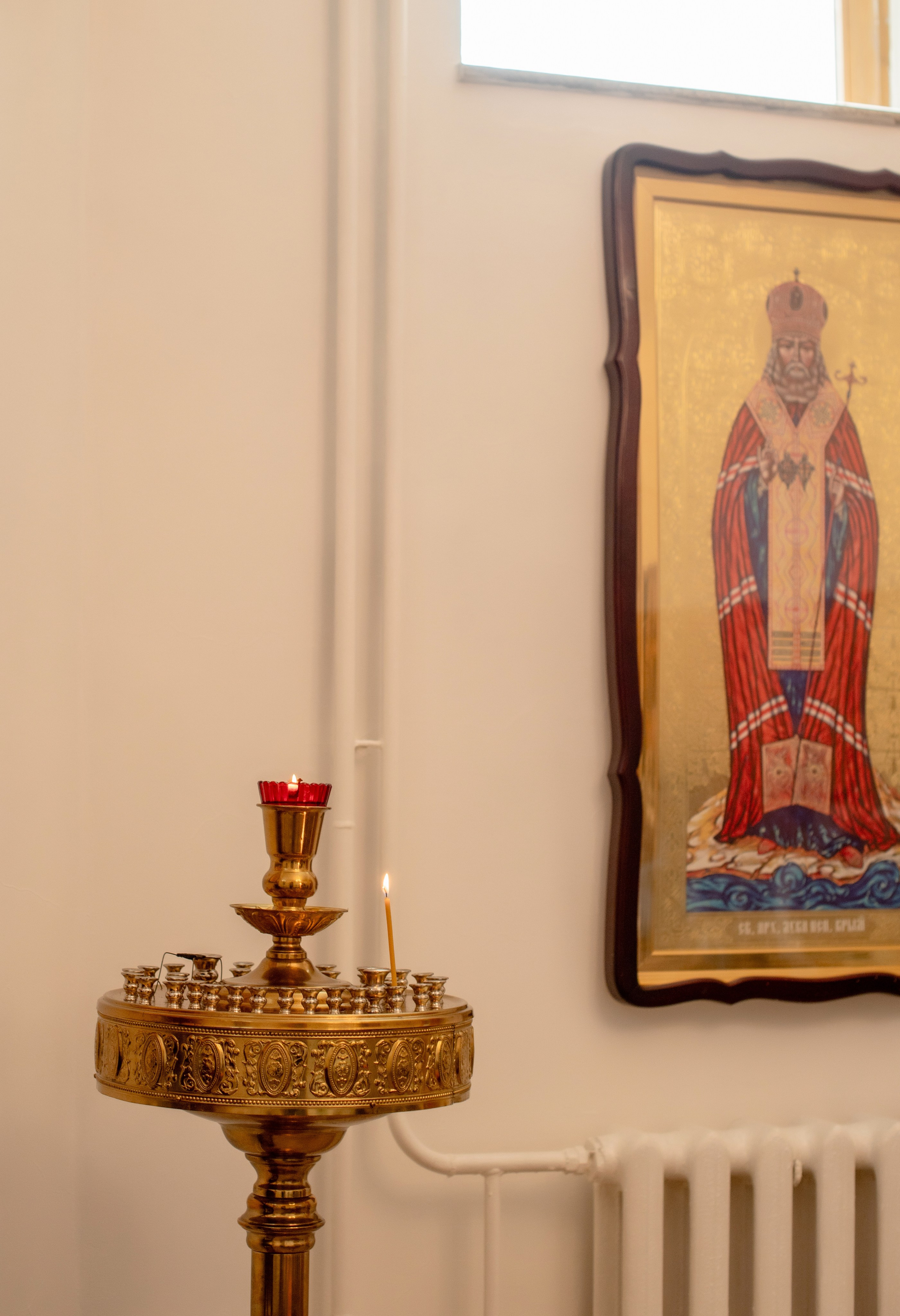 Лимончик. Фотограф Виктория Воронина