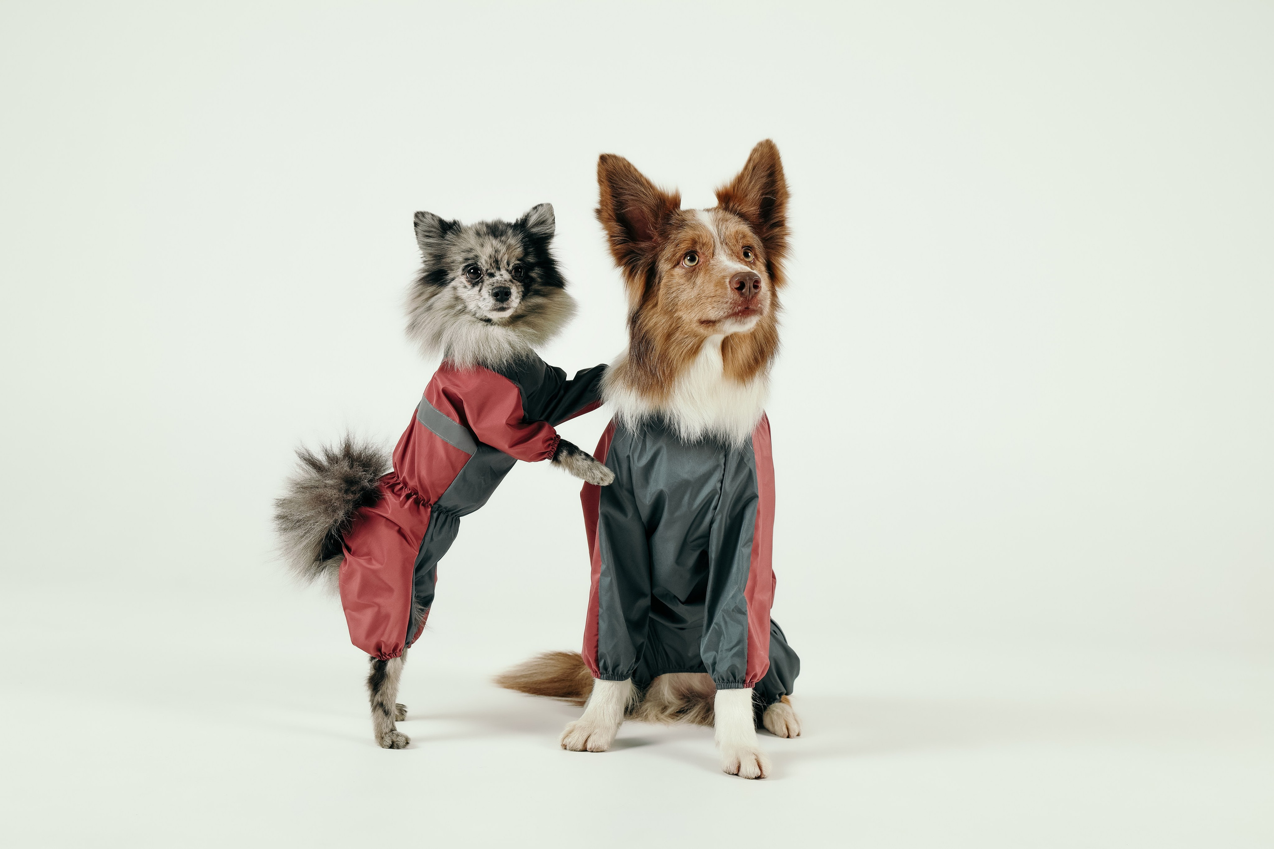 Для брендов. Фотограф- анималист Санкт-Петербург