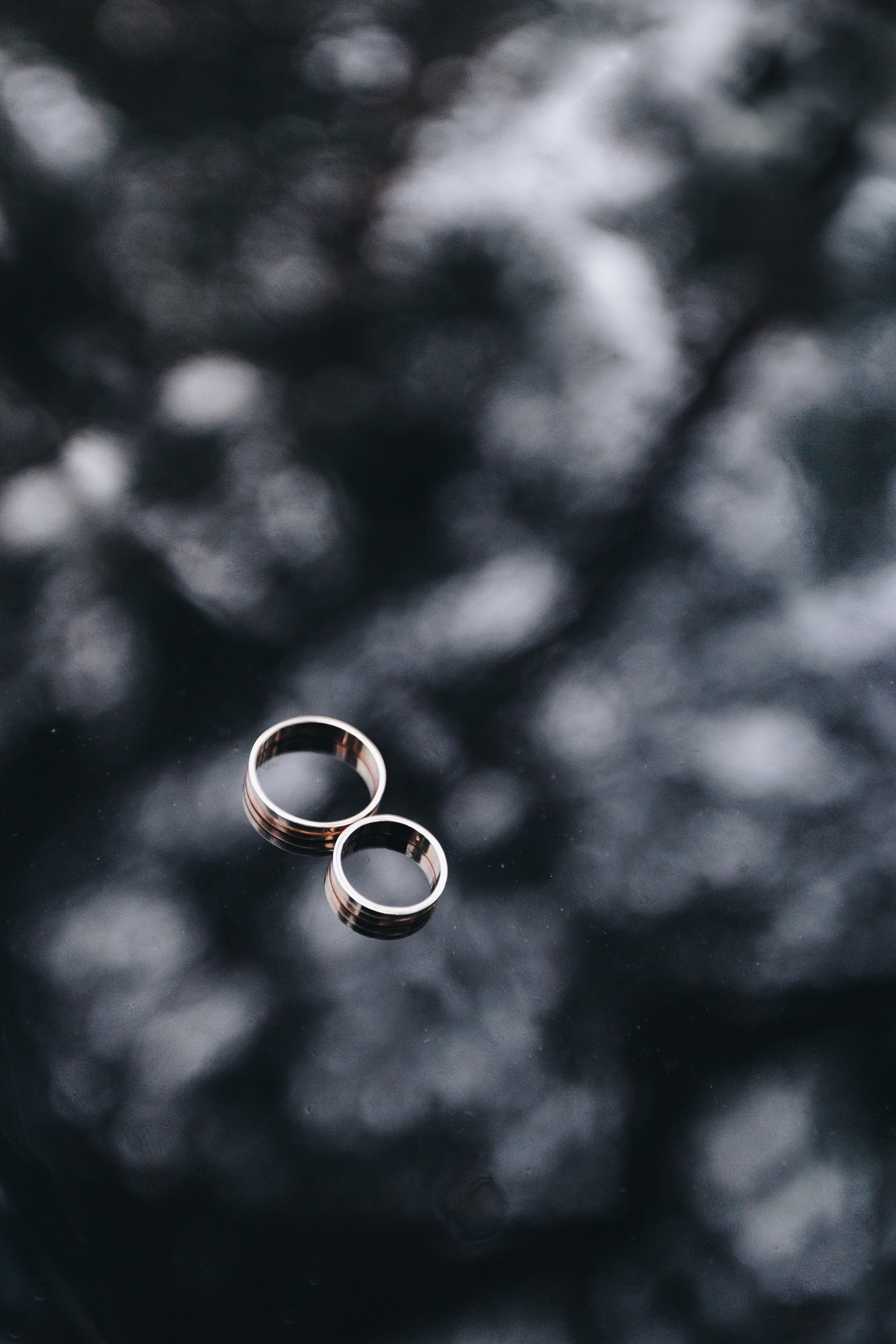 Зимняя фотосессия на свадьбу и видеосъёмка. Свадебный семейный фотограф и видеограф Гомель Минск Беларусь Европа