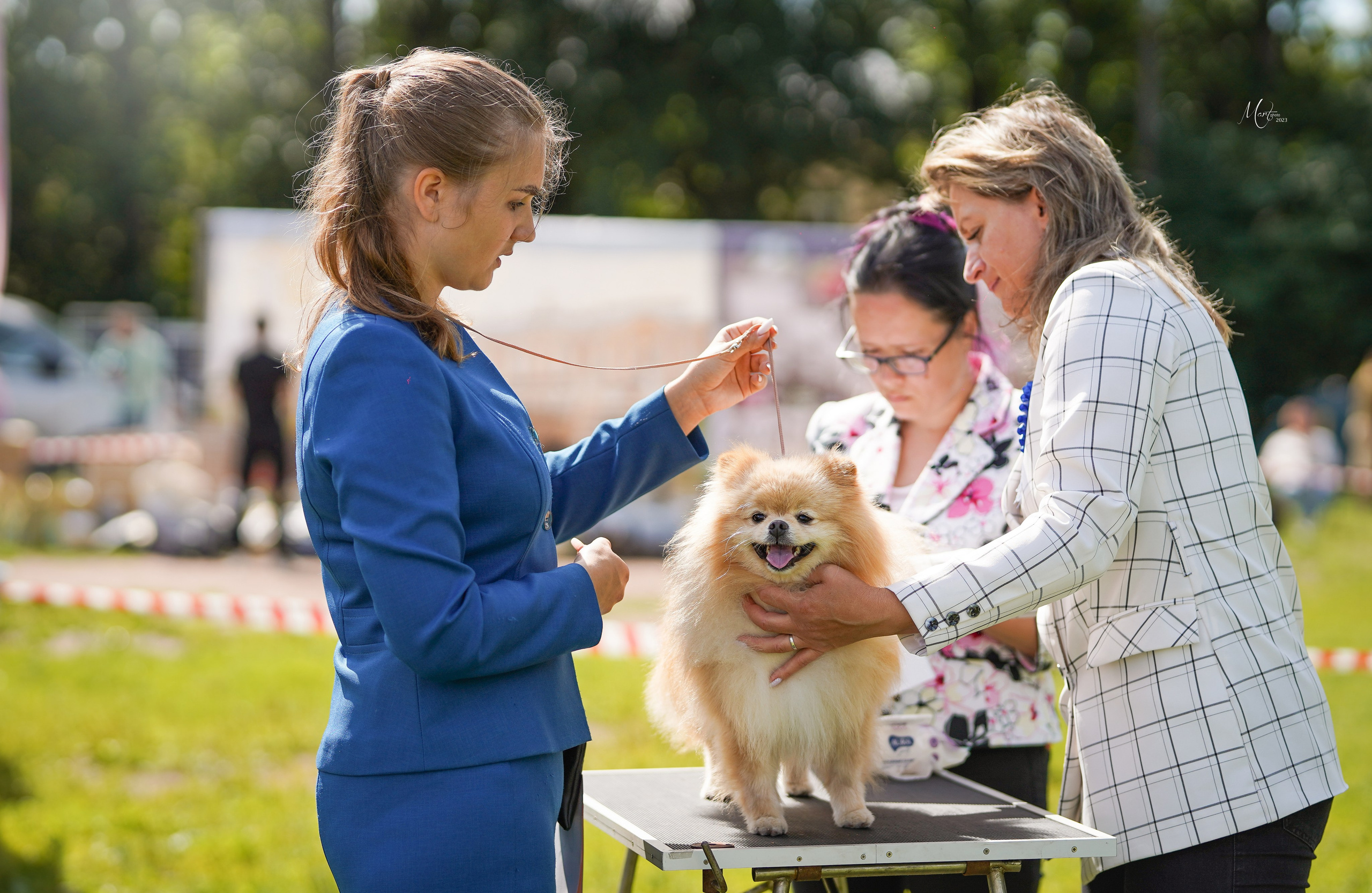 Выставки 2023. Фотограф-анималист в Санкт-Петербурге Яна Мартынова