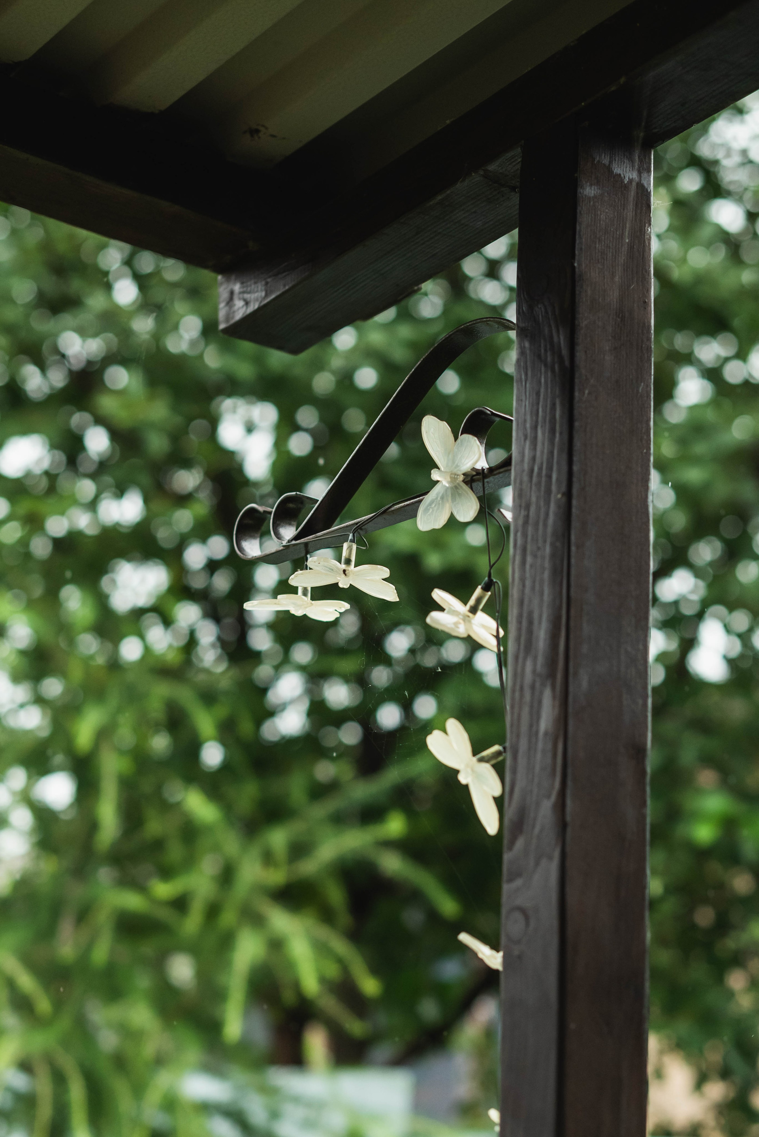 Лесное царство Оксаны. Свадебный и семейный фотограф в Новосибирске, Санкт-Петербурге, Москве