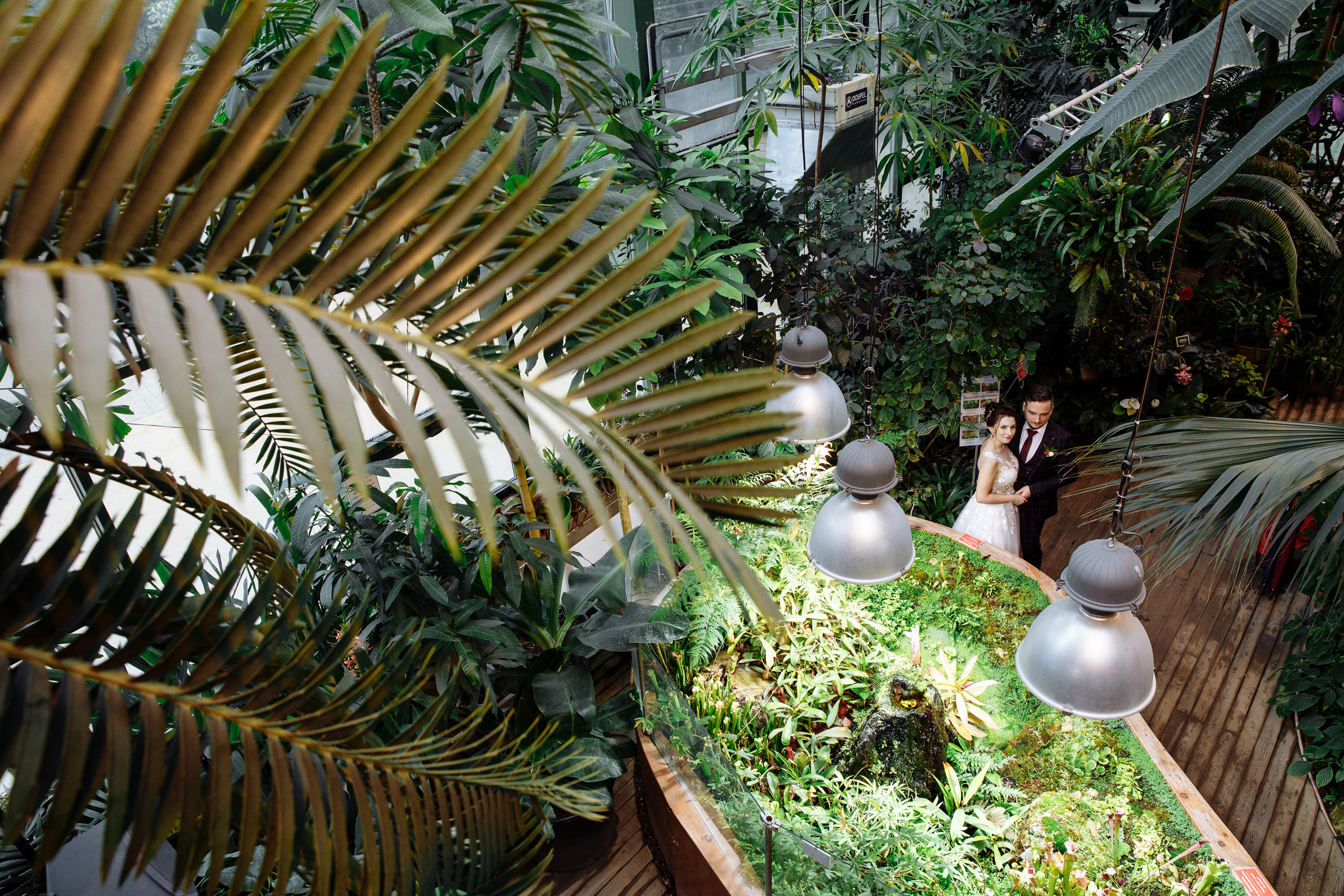 Анонс свадьбы Олега и Алены