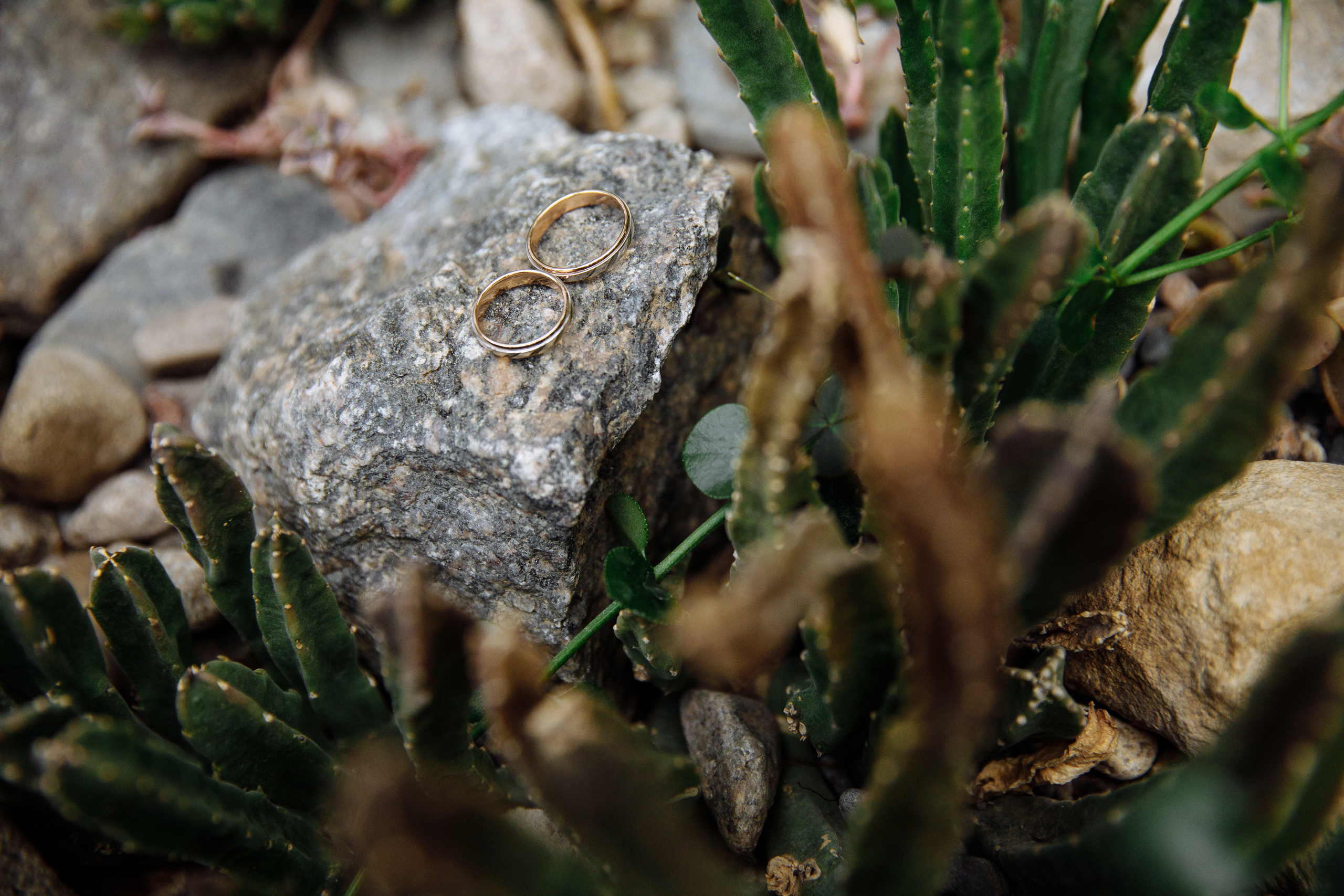 Анонс свадьбы Алины и Паши