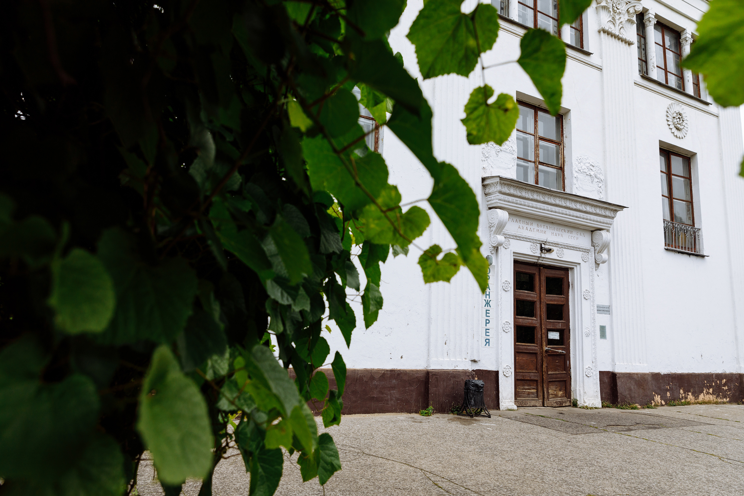 Анонс свадьбы Алины и Паши