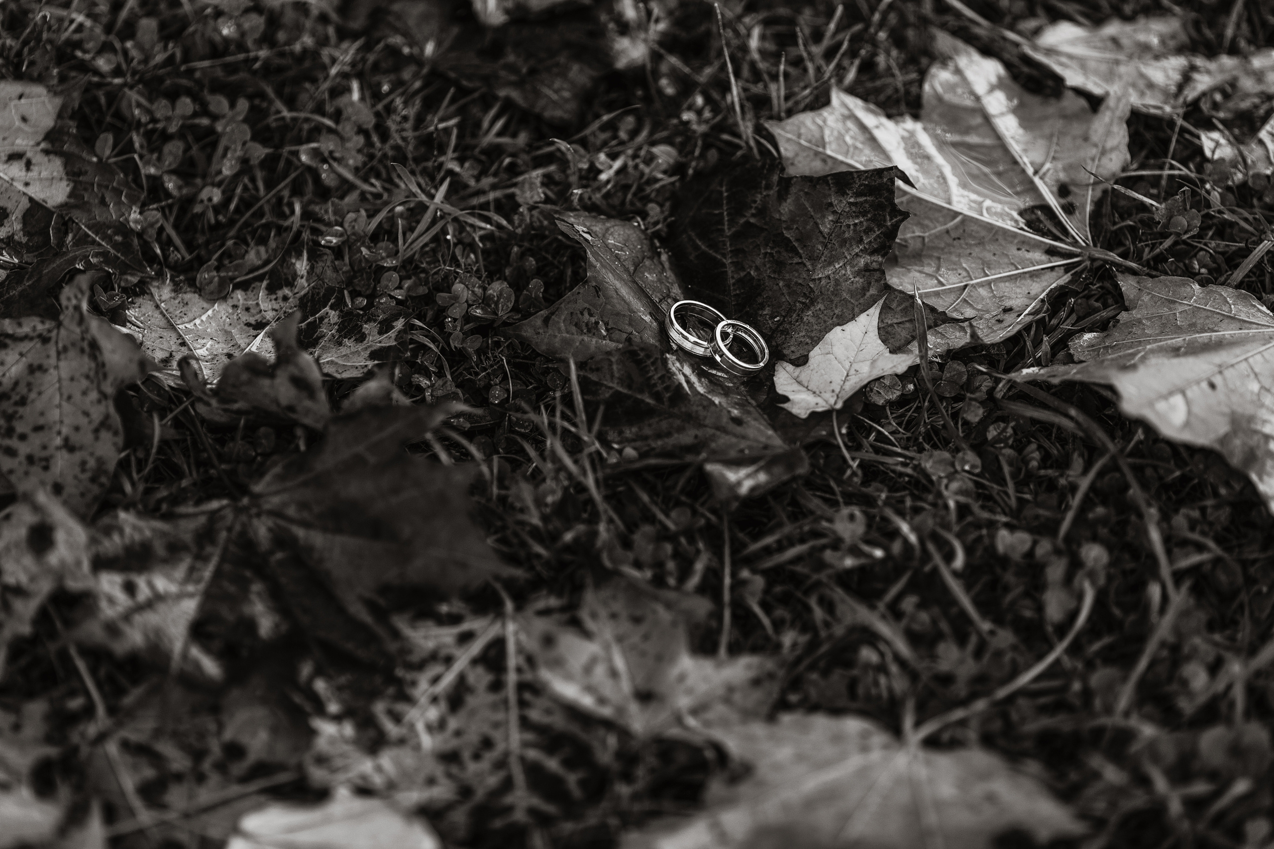 Анонс свадебной фотосъемки Димы и Даши