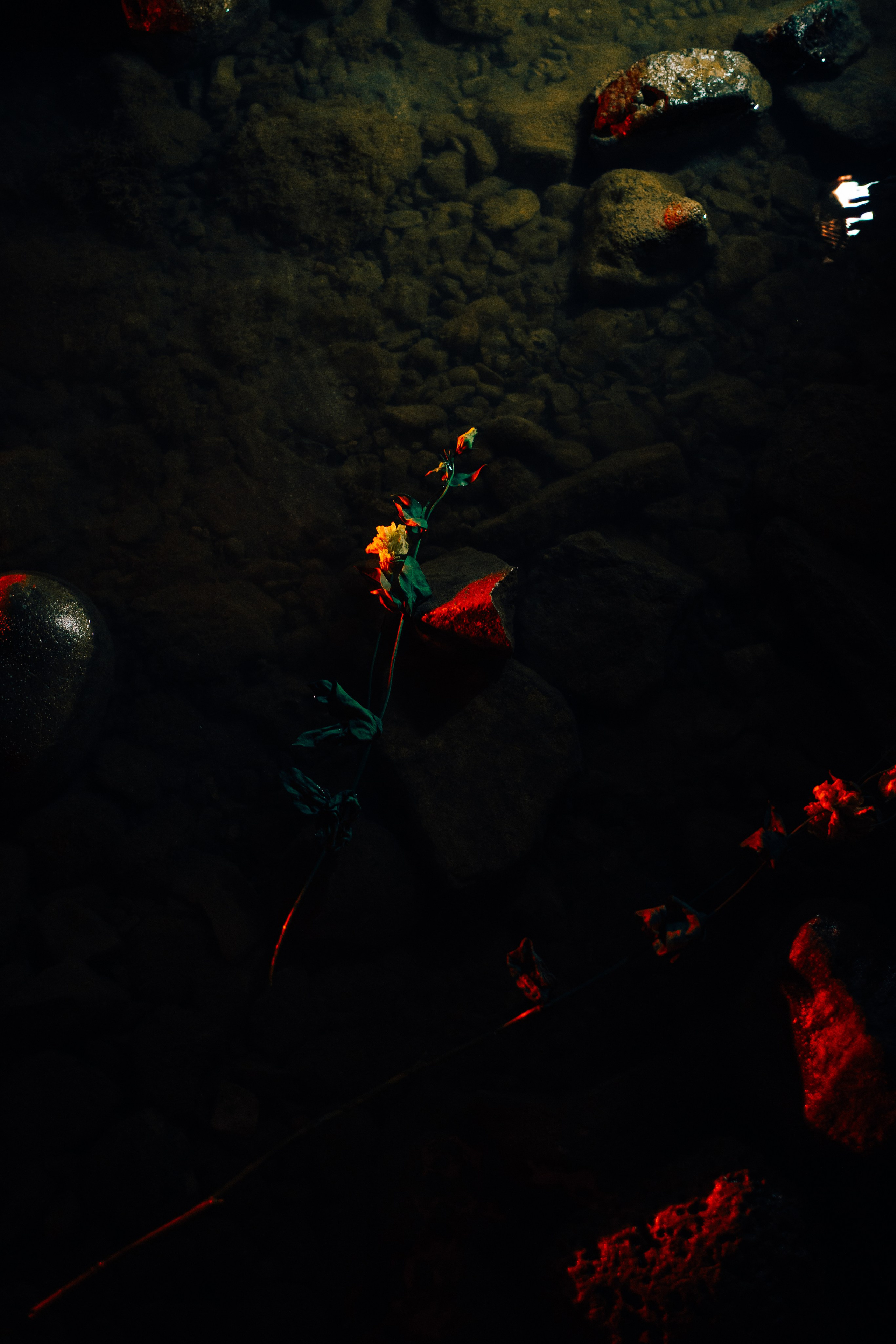 Глеб. Фотограф в Москве и МО Влада Обласова