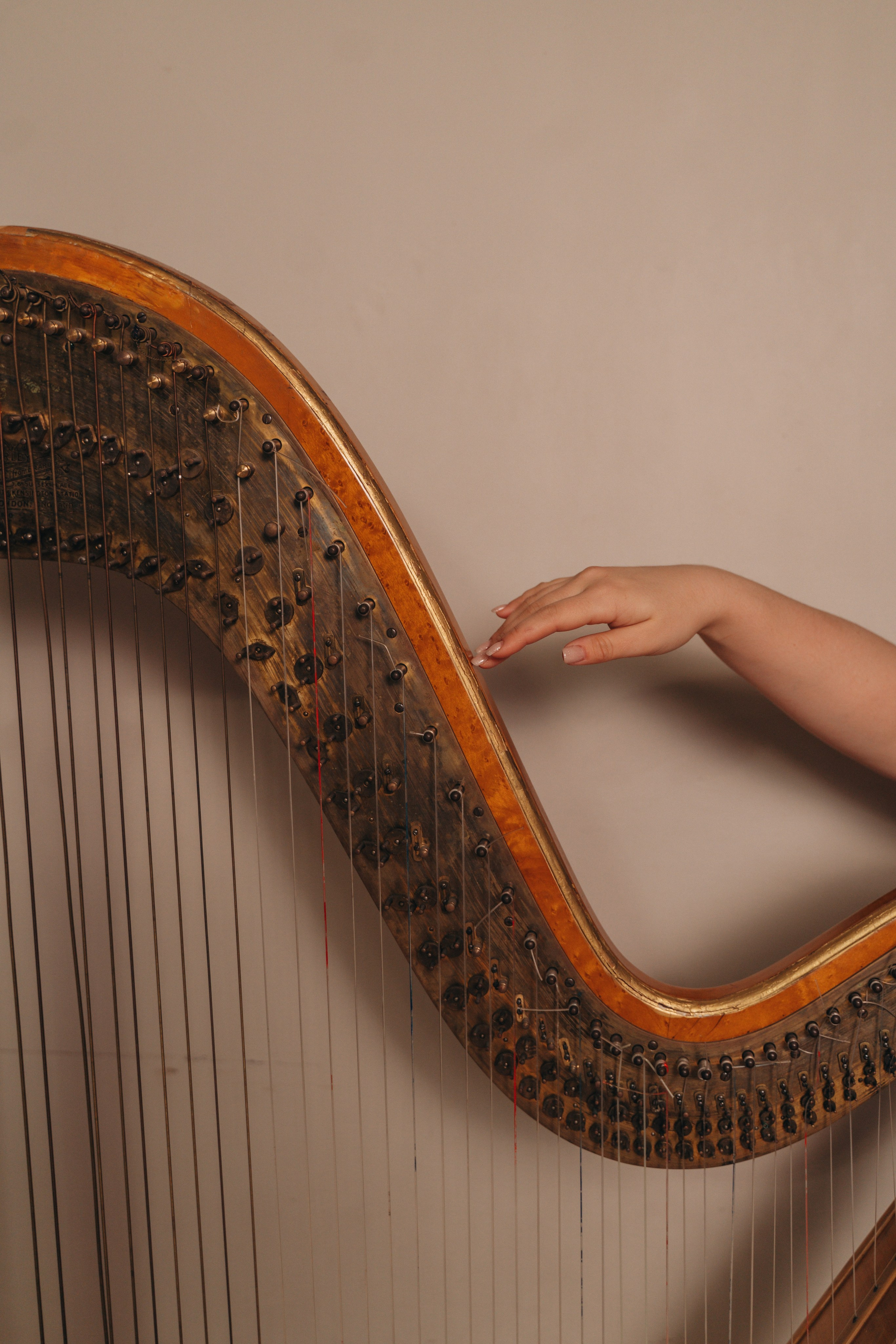 HP🤍. FotoTanya. Раменское/Жуковский/Бронницы