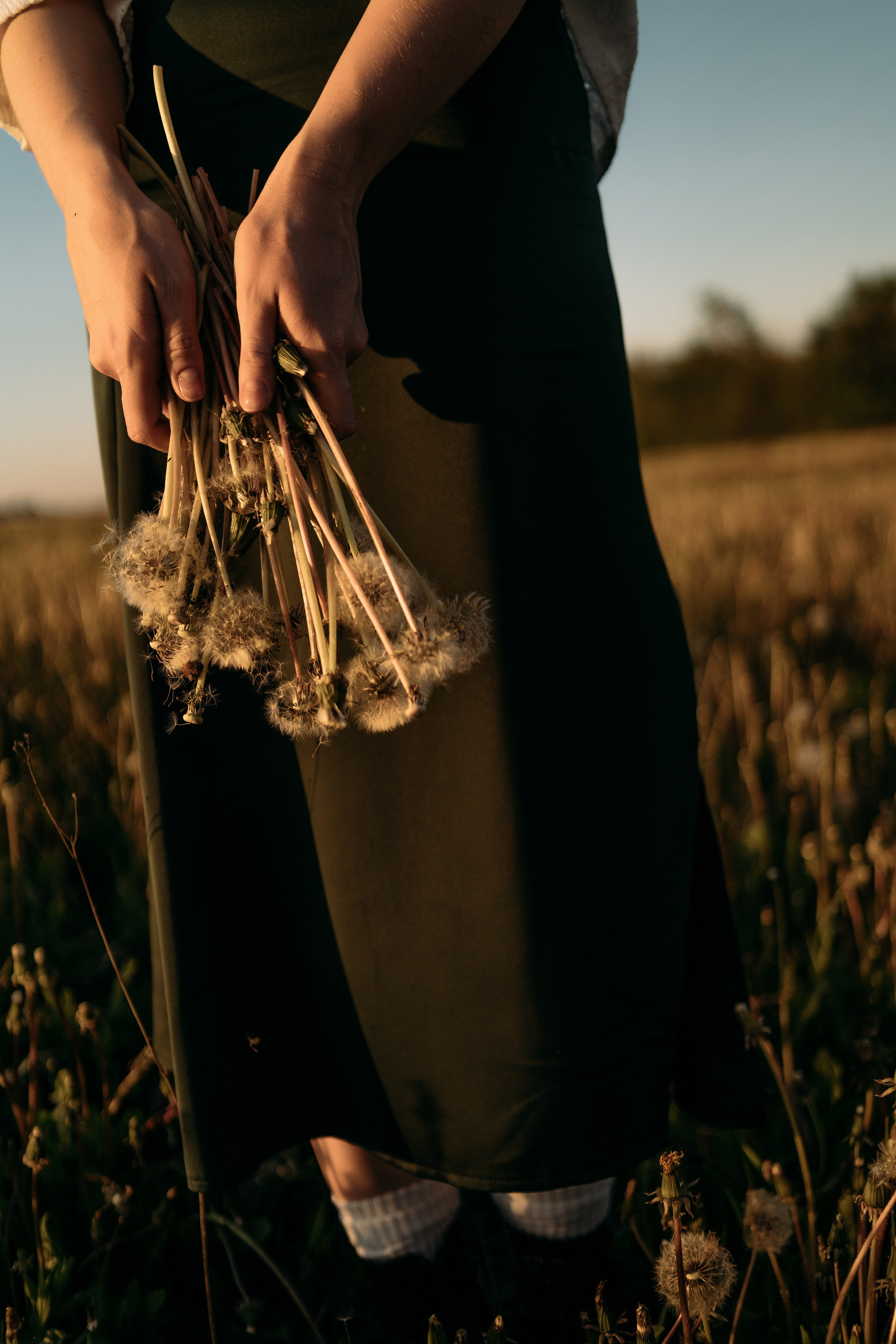 Одуванчики…. FotoTanya. Раменское/Жуковский/Бронницы