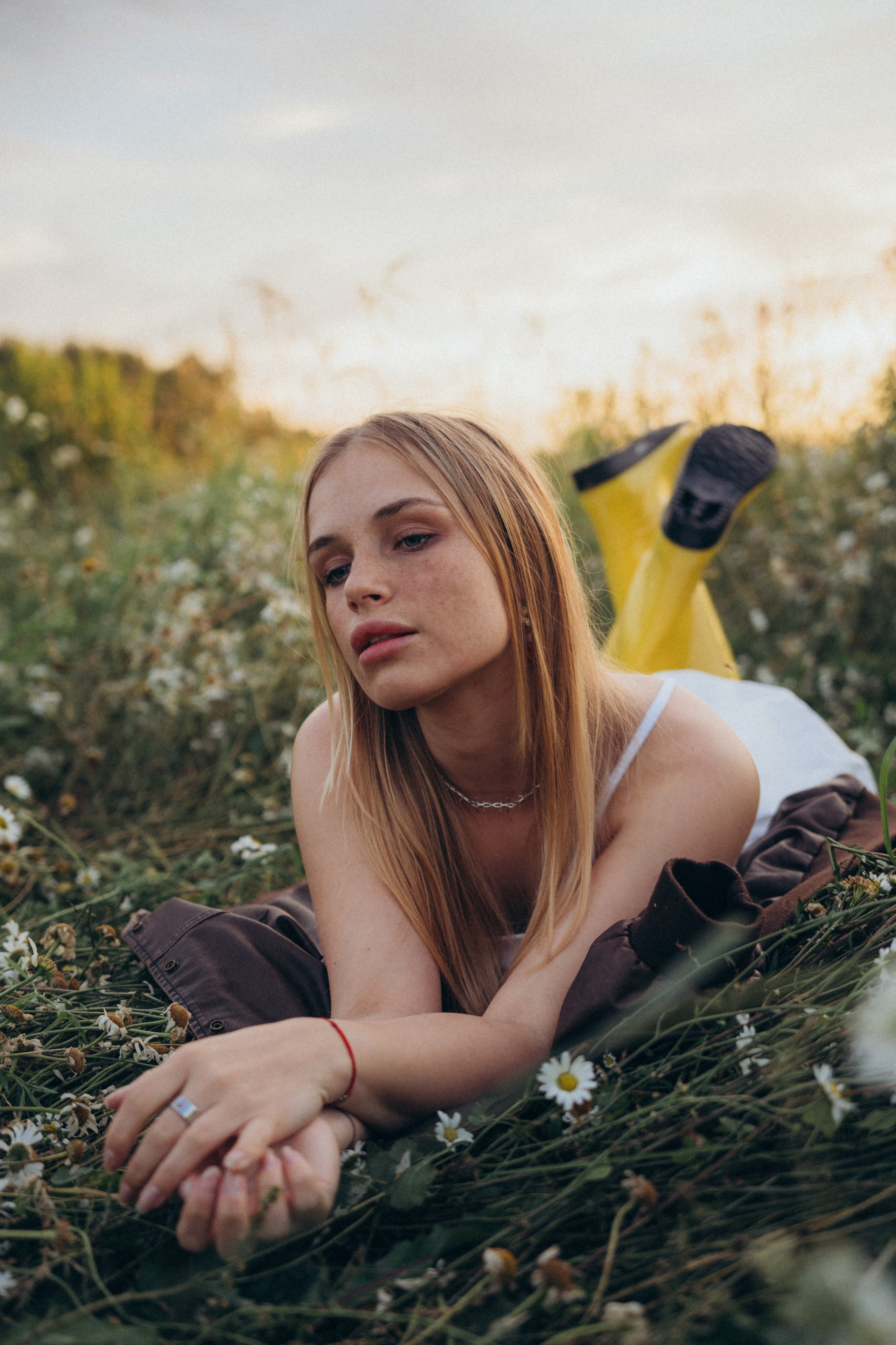 Ромашки. Фотограф Москва