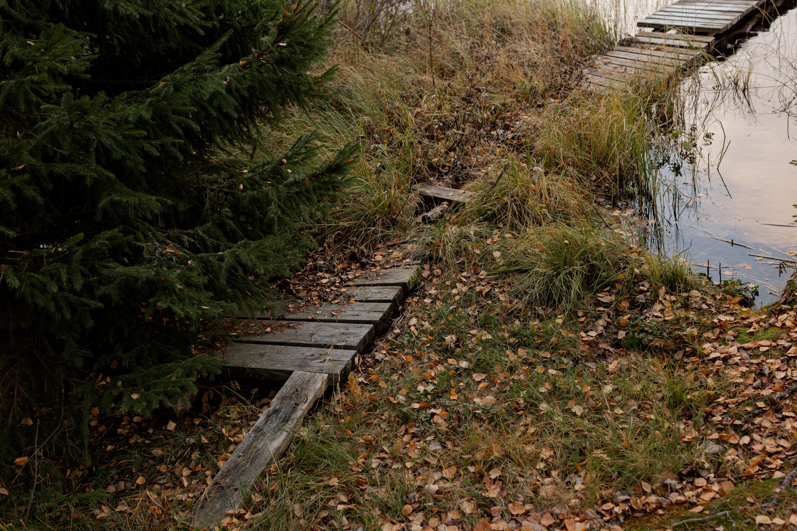 Съемка для глемпинг-отеля Хюгге Кэмп. Природа. Саша Кушнерова Фотографии. Sasha Kushnerova Photos