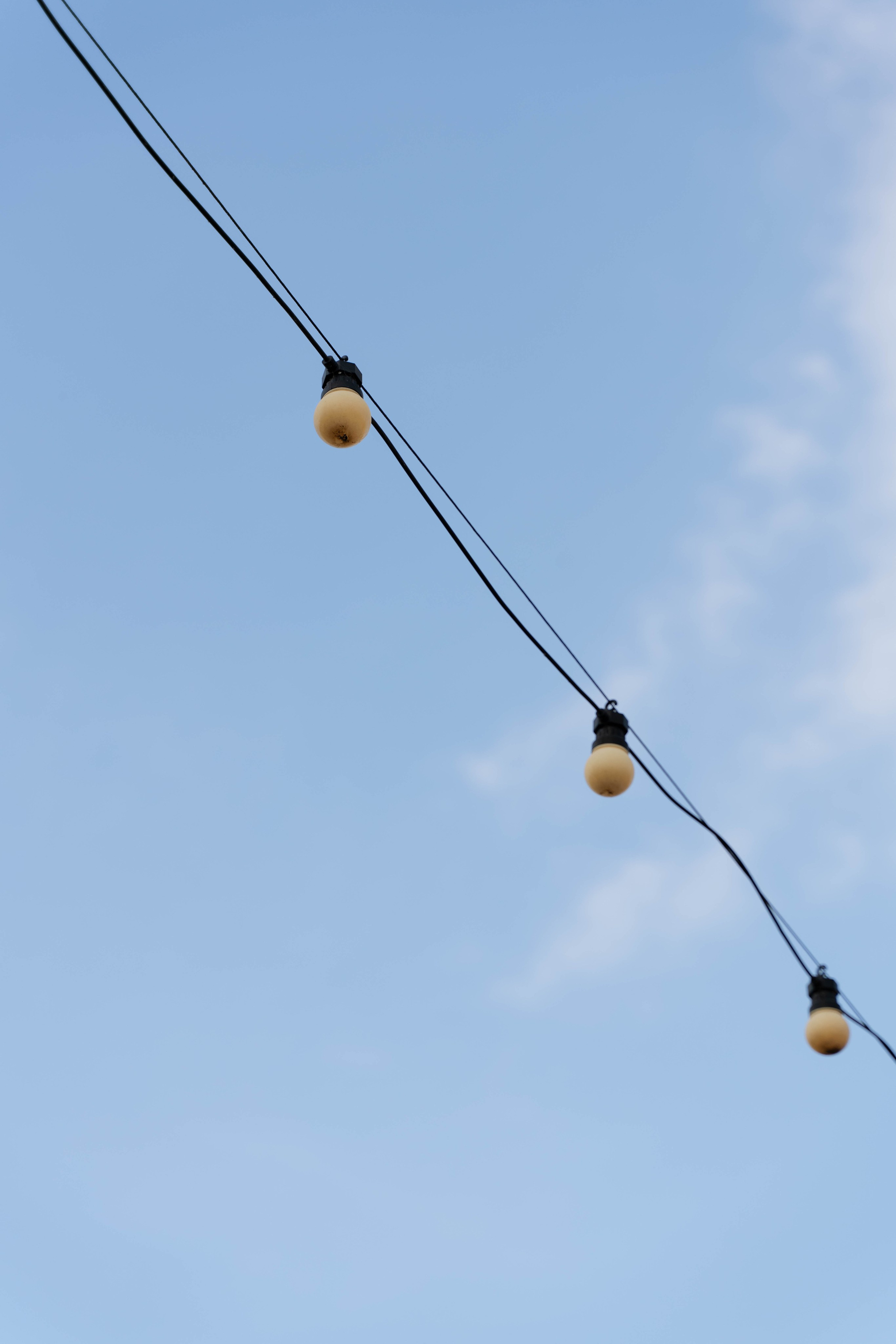 Barbie Пикник. Свадебный фотограф в Краснодаре и Санкт-Петербурге Евгения Алексеева