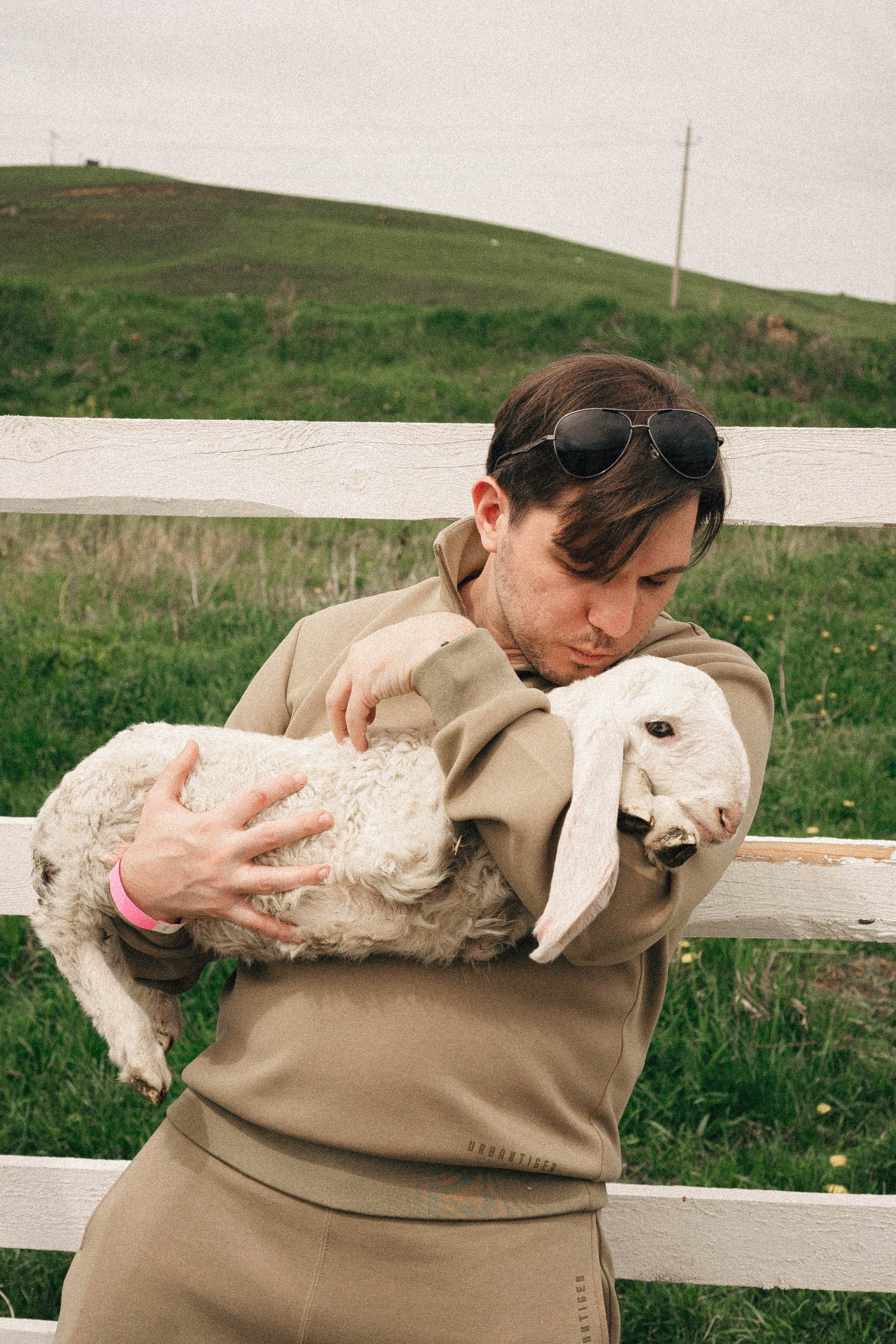 Ферма Альпак. Профессиональный фотограф, Санкт-Петербург — Виктория Богомолова