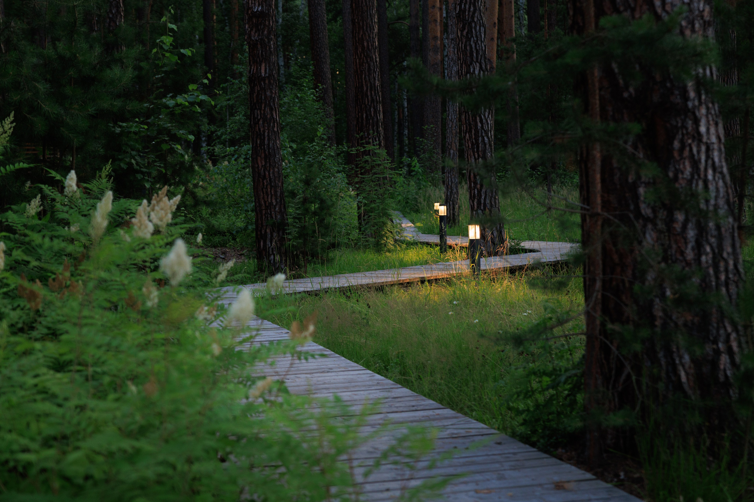 Корпоратив в «Лесу». Контент для бизнеса в Екатеринбурге Полдень Медиа