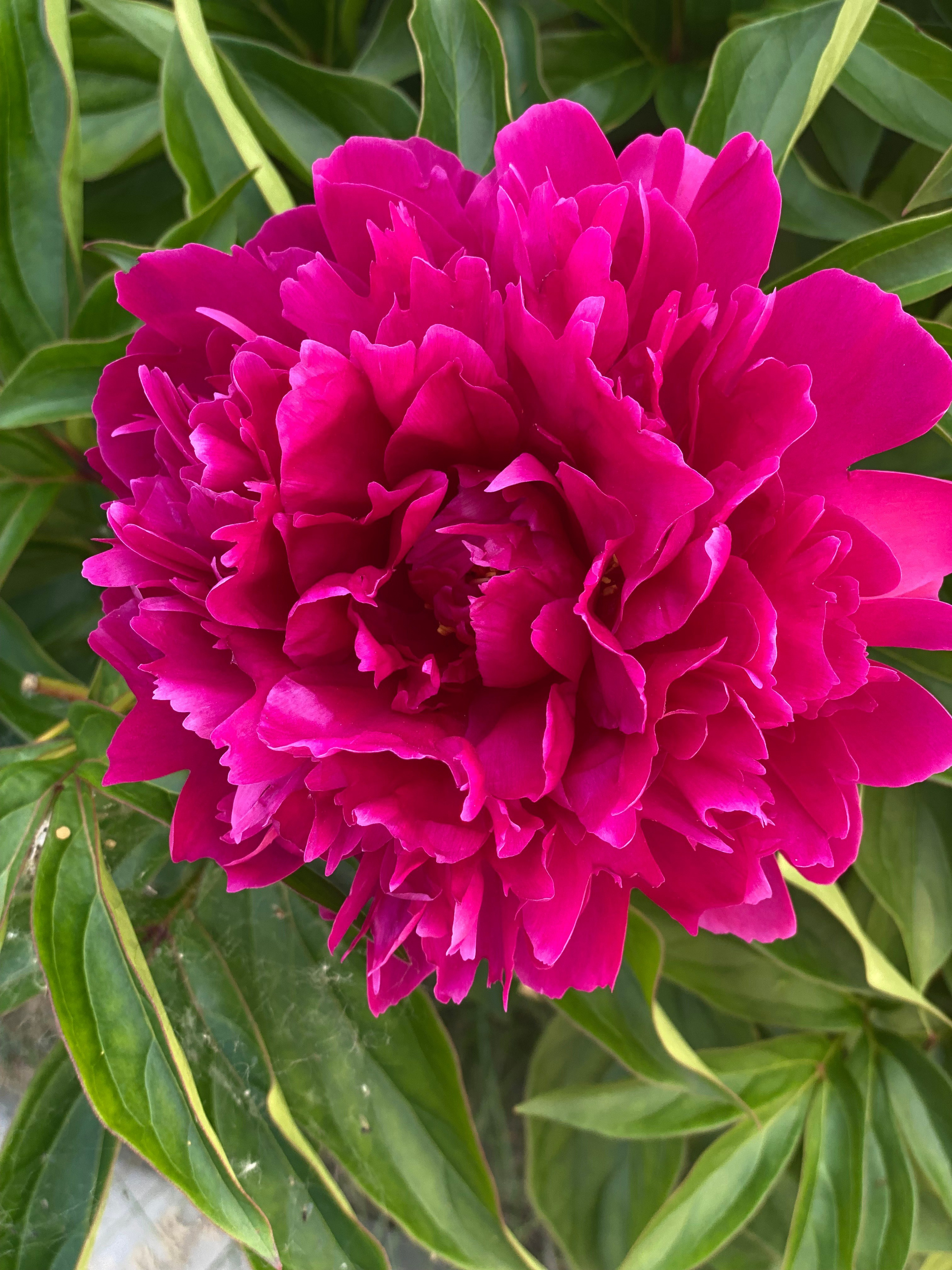 Коломна — 21. Своя Мастерская