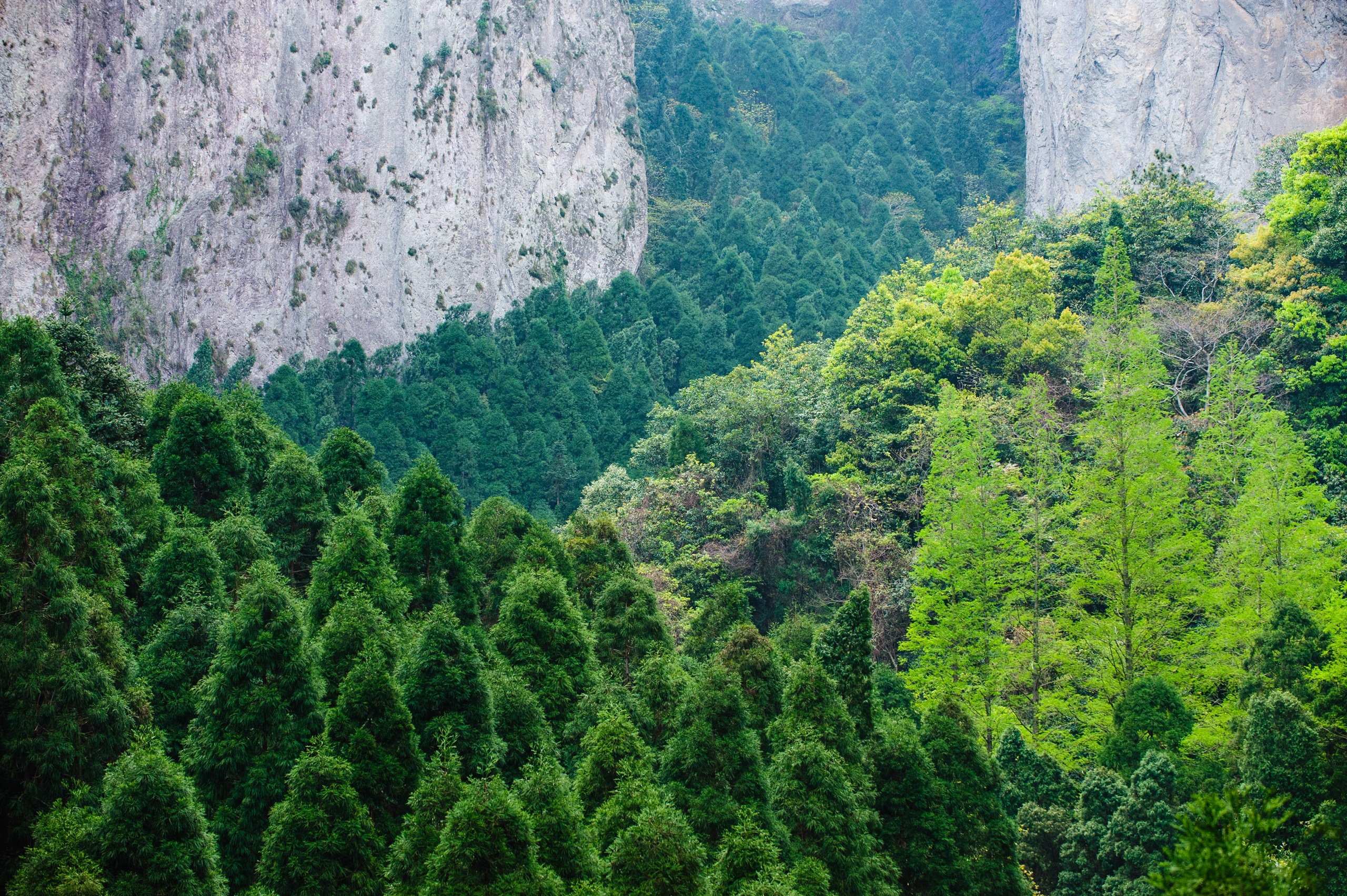 Осязаемая красота. Авторские стильные фотокартины