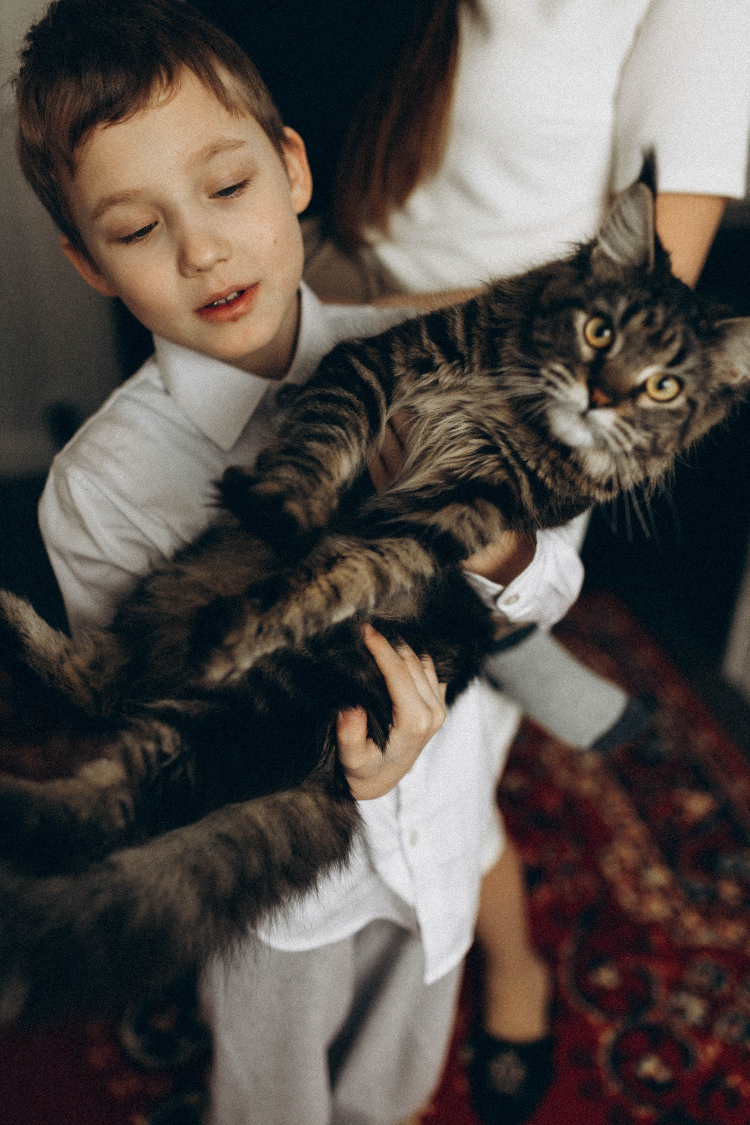 Преподаватель музыки