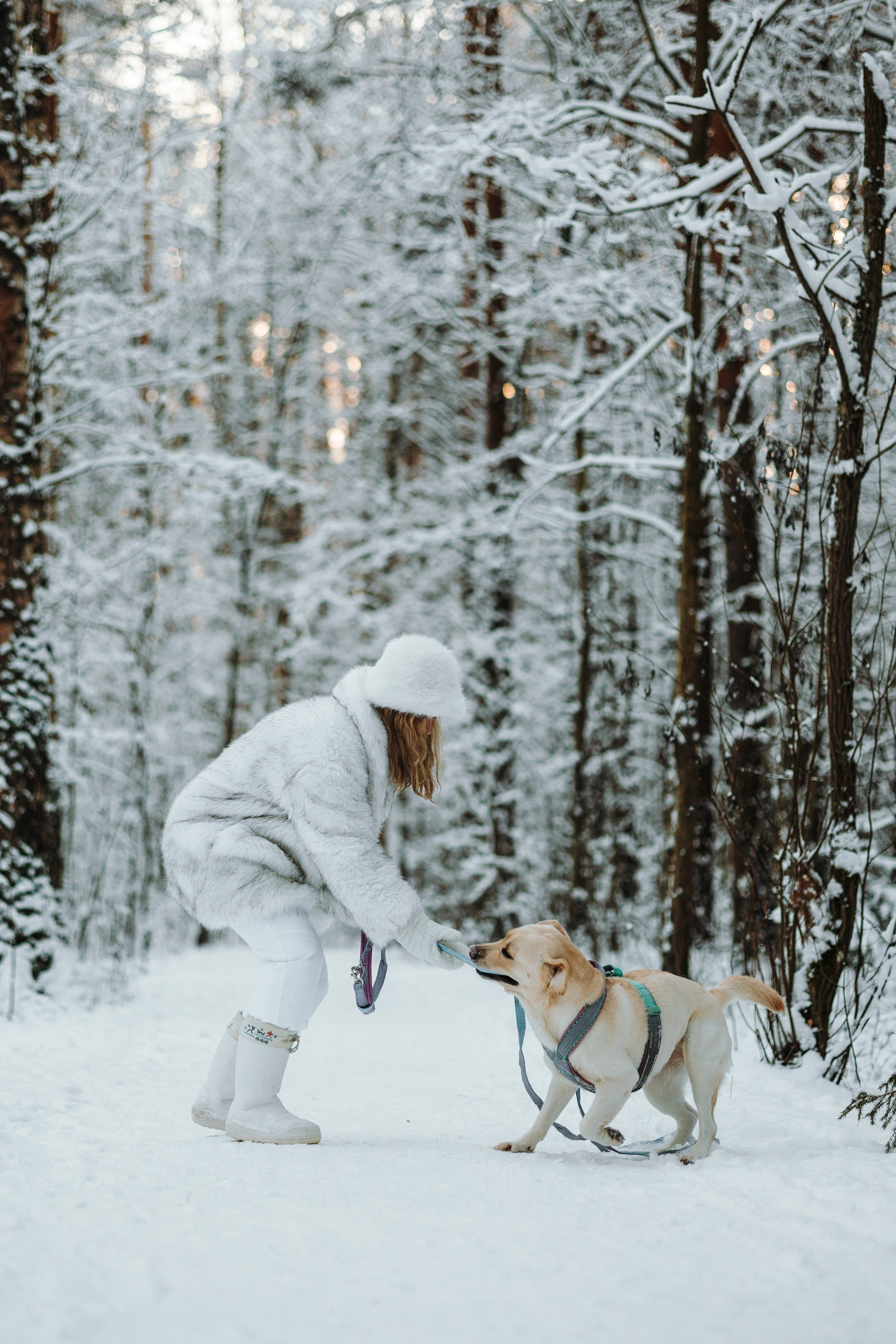 Ребята и их хвостатая семейка. Фотограф — Анималист | Санкт-Петербург