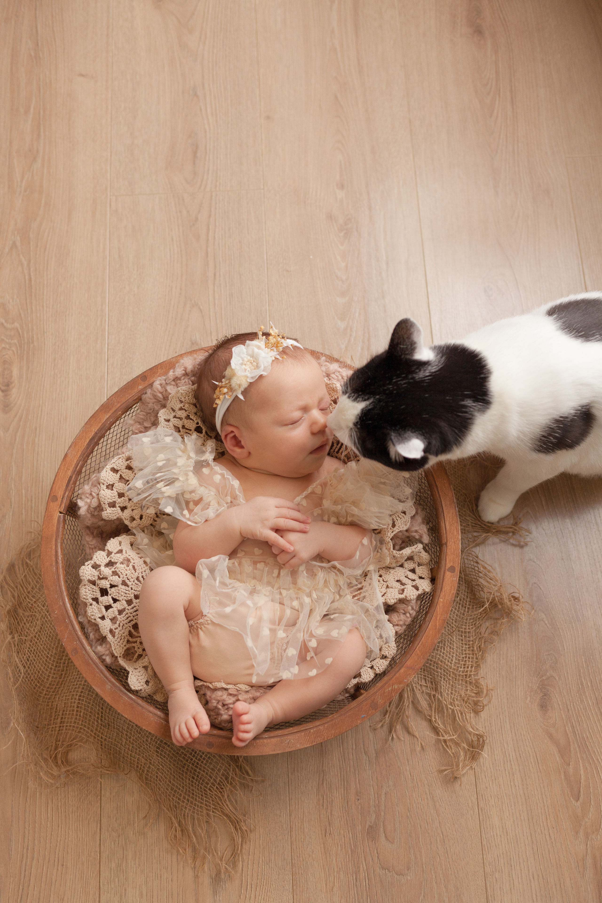 Newborn. Фотограф новорождённых в Самаре