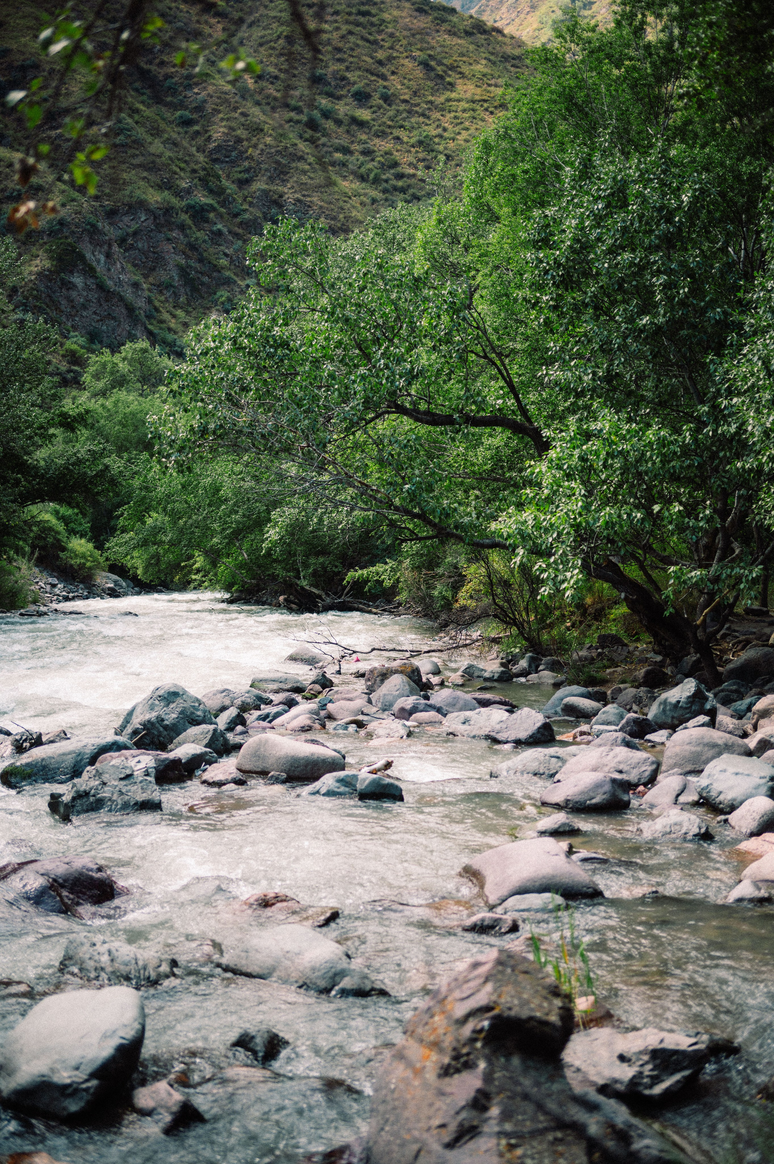 Плато Ассы: июль 2025. Фотограф в Алматы — Дарья Фёдорова