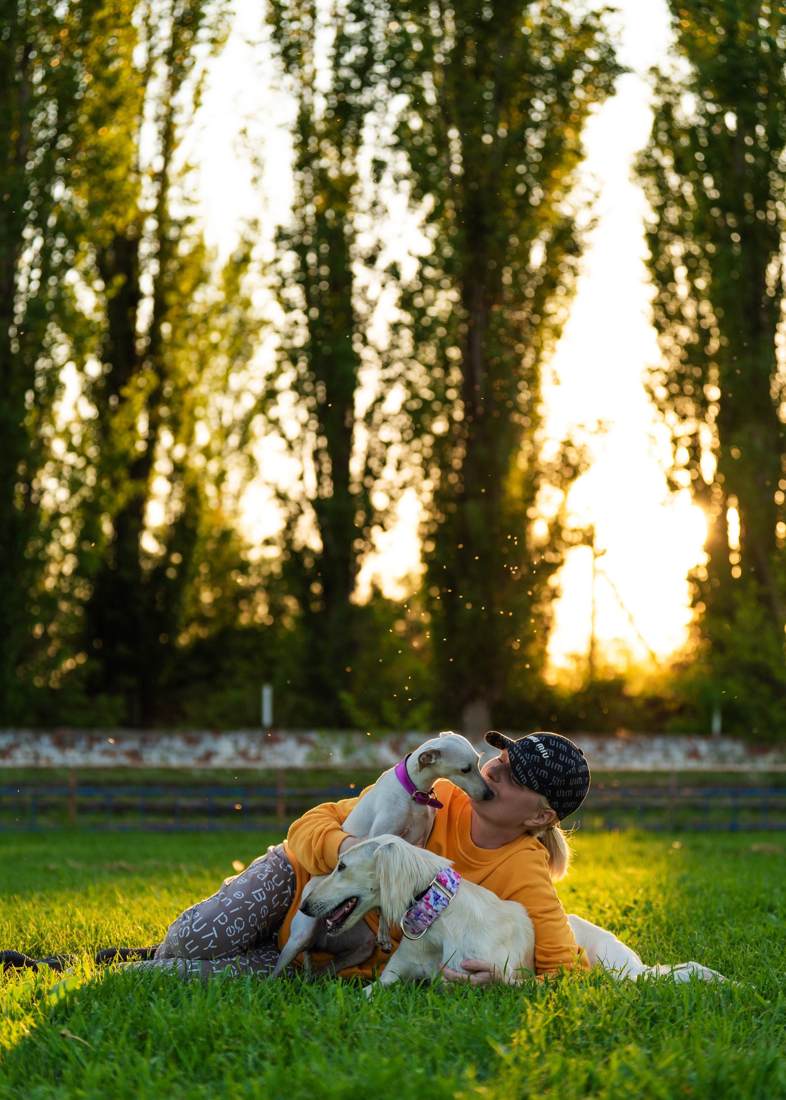 Собаки и люди. Давыденко Анна / Фотограф Краснодар/Сочи