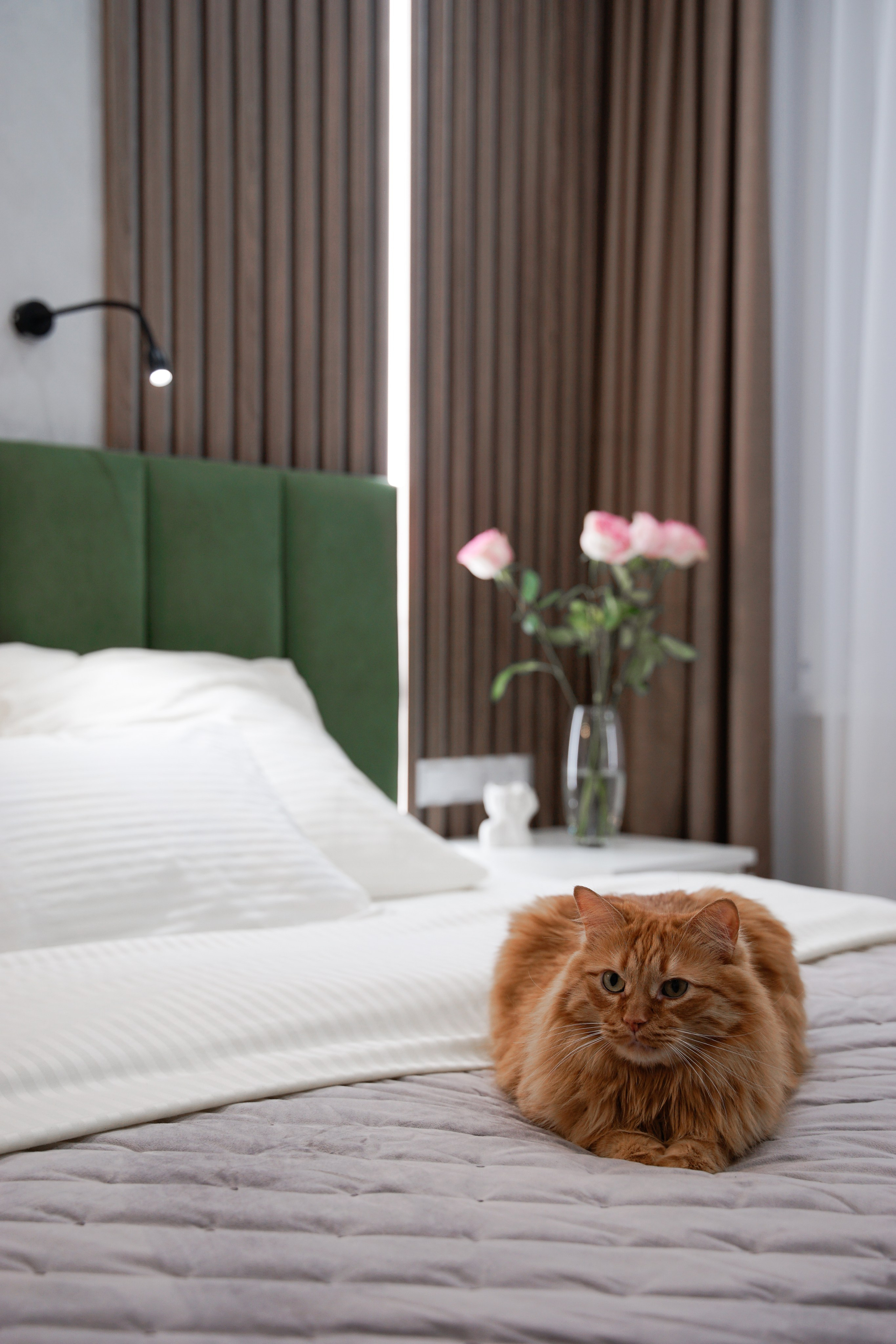 КОЛЛЕКЦИЯ. Игорь Ефремов — свадебный и портретный фотограф в Ульяновске