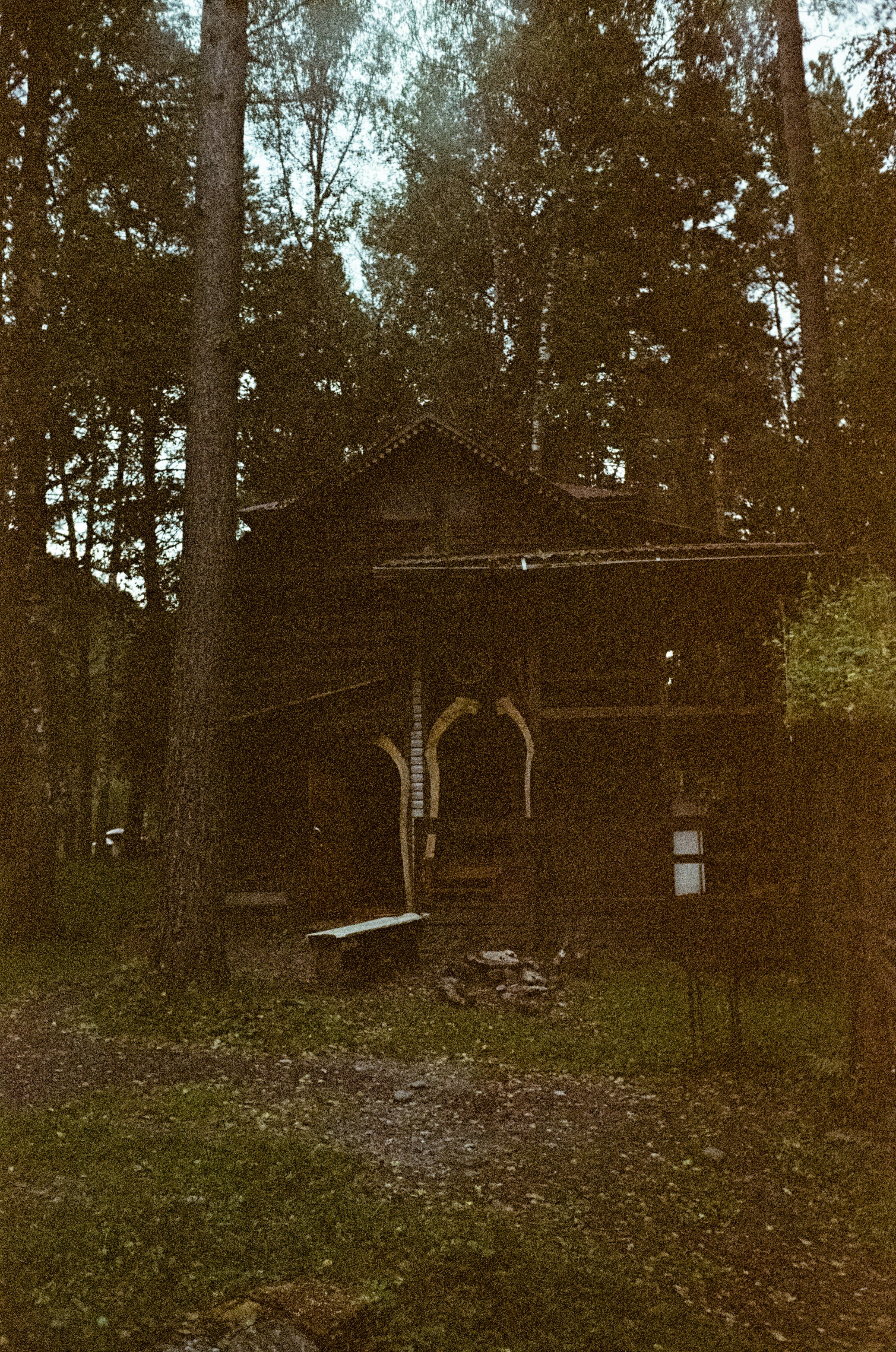 АЛТАЙ осень 2024 / Minox 35 GT (2) / Kodak Ultra Gold 400 24К (просрочка)