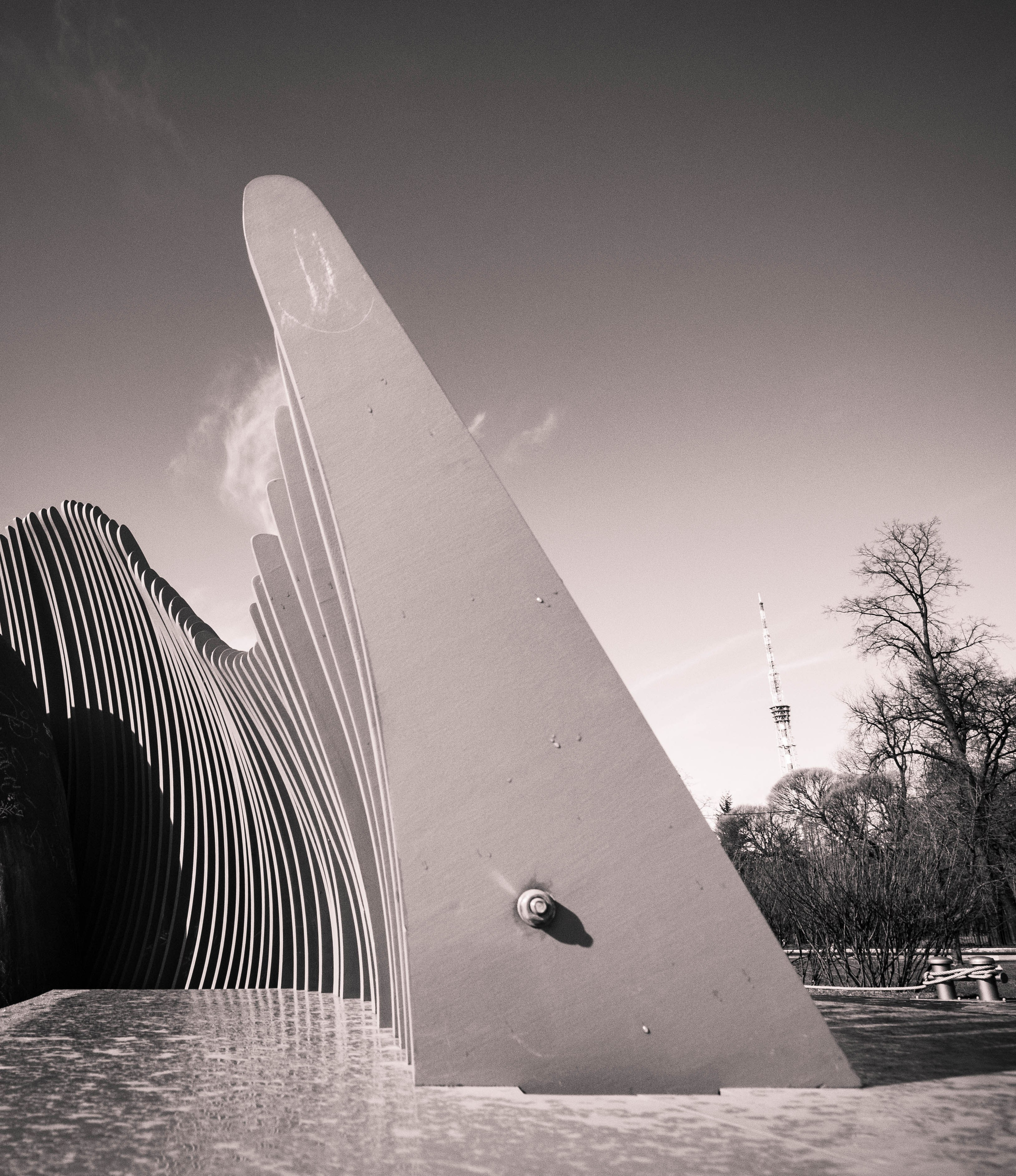 Ритмы карантина. Мари Линёк-Стельмах Фотохудожник Санкт-Петербург/Урал