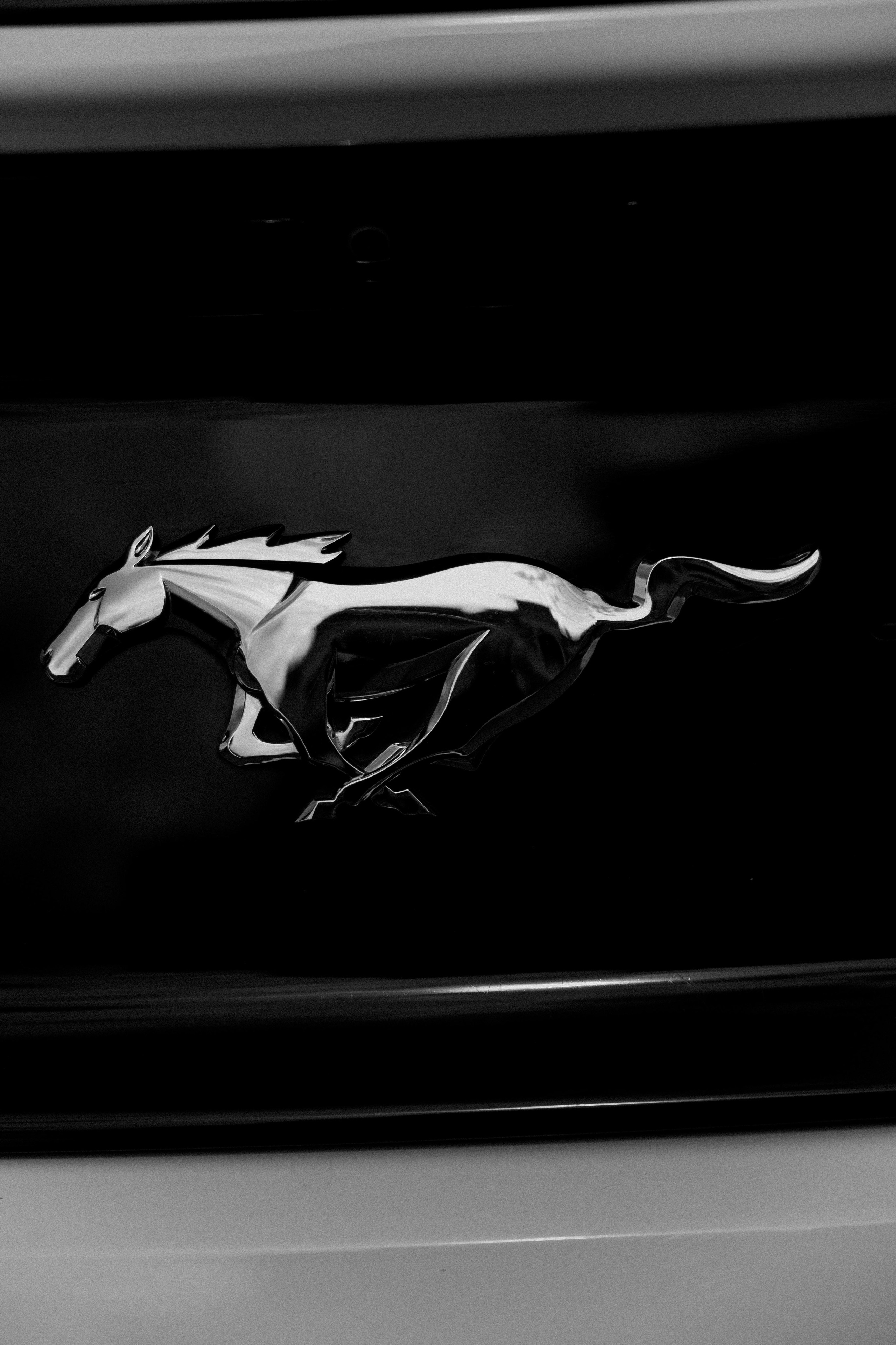 Свадебная история Кирилла и Алины. Свадебный и семейный фотограф Рассказова Виктория