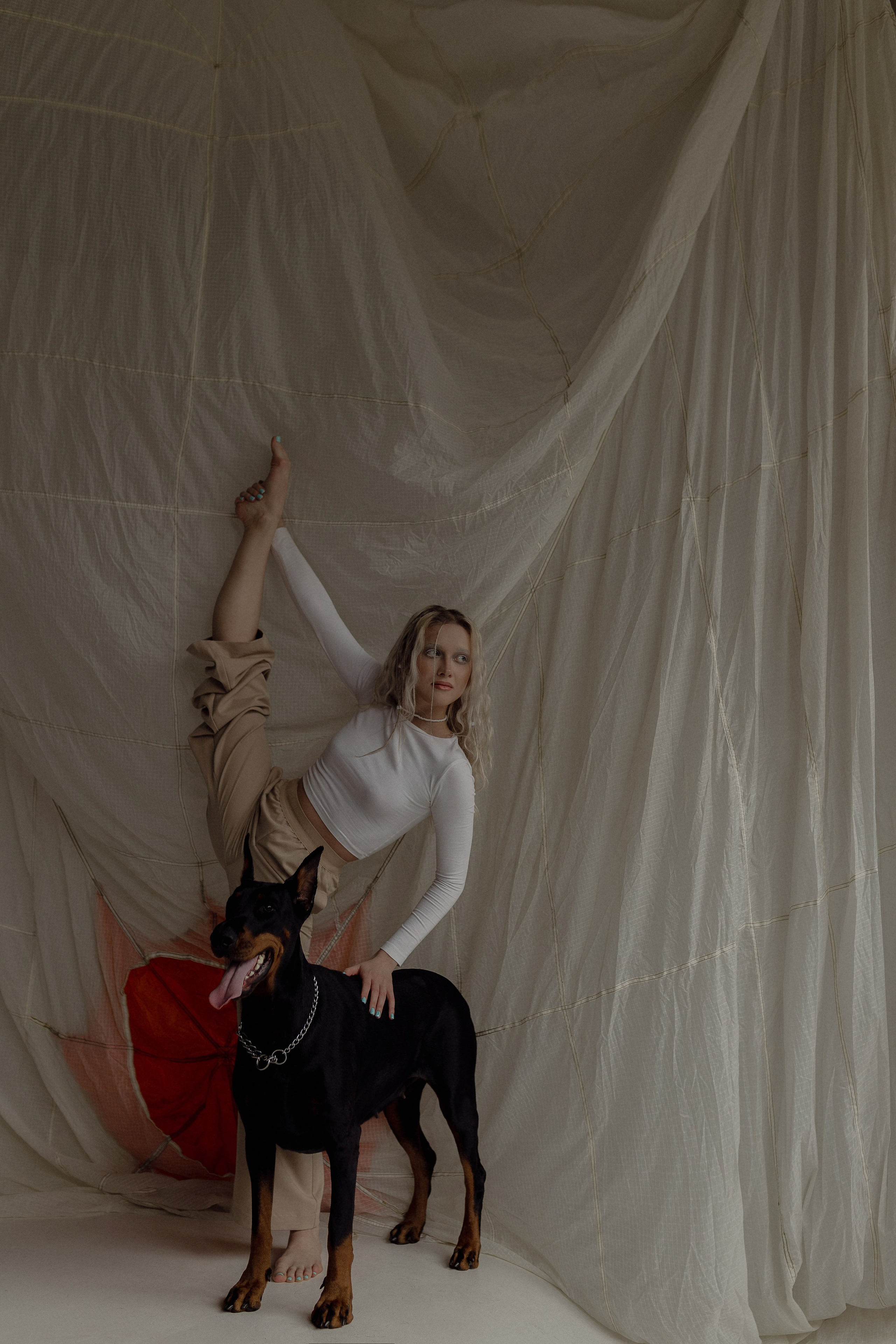 Маргарита. DARYA.BELKINA