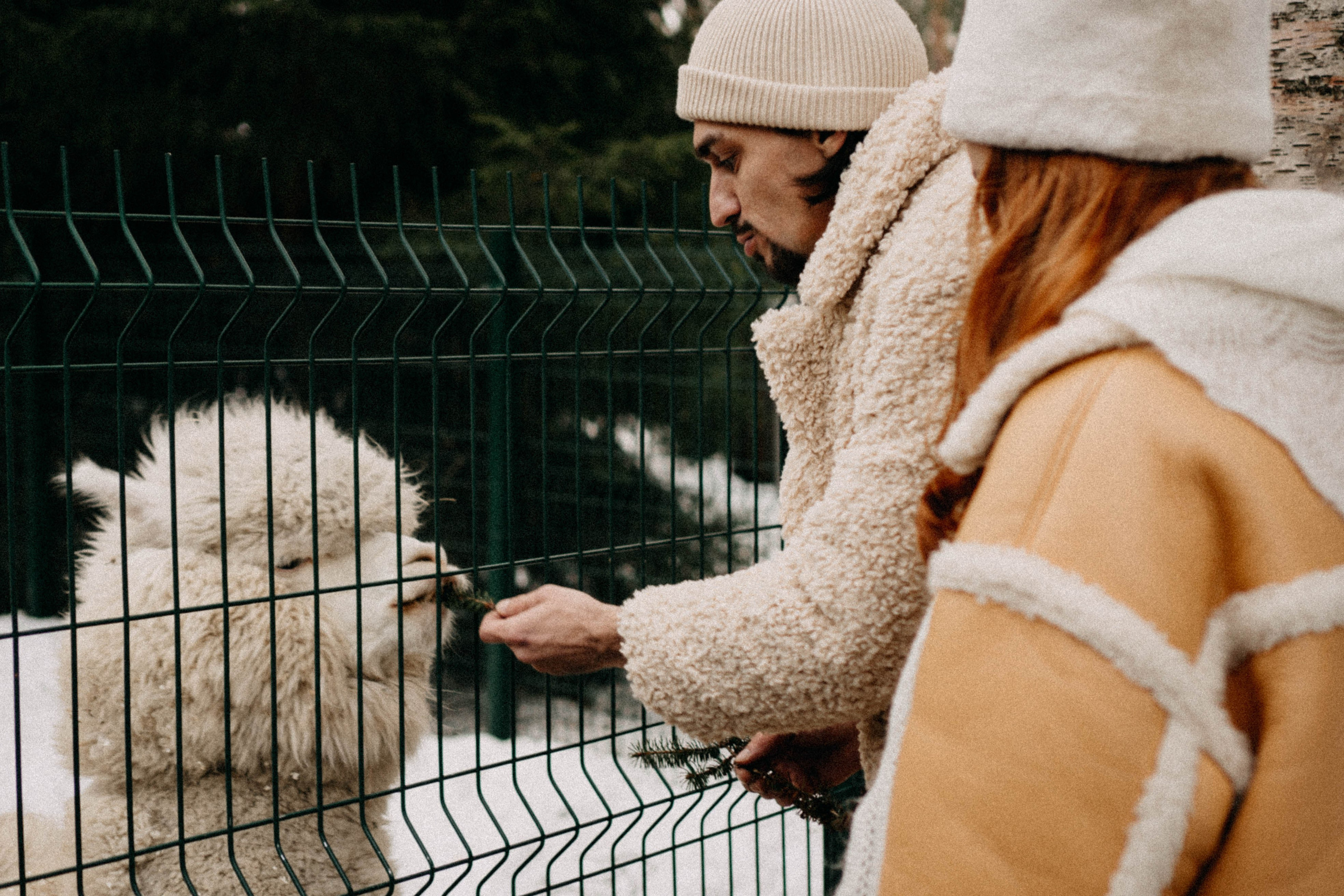 Каток. Профессиональный фотограф, Санкт-Петербург — Виктория Богомолова