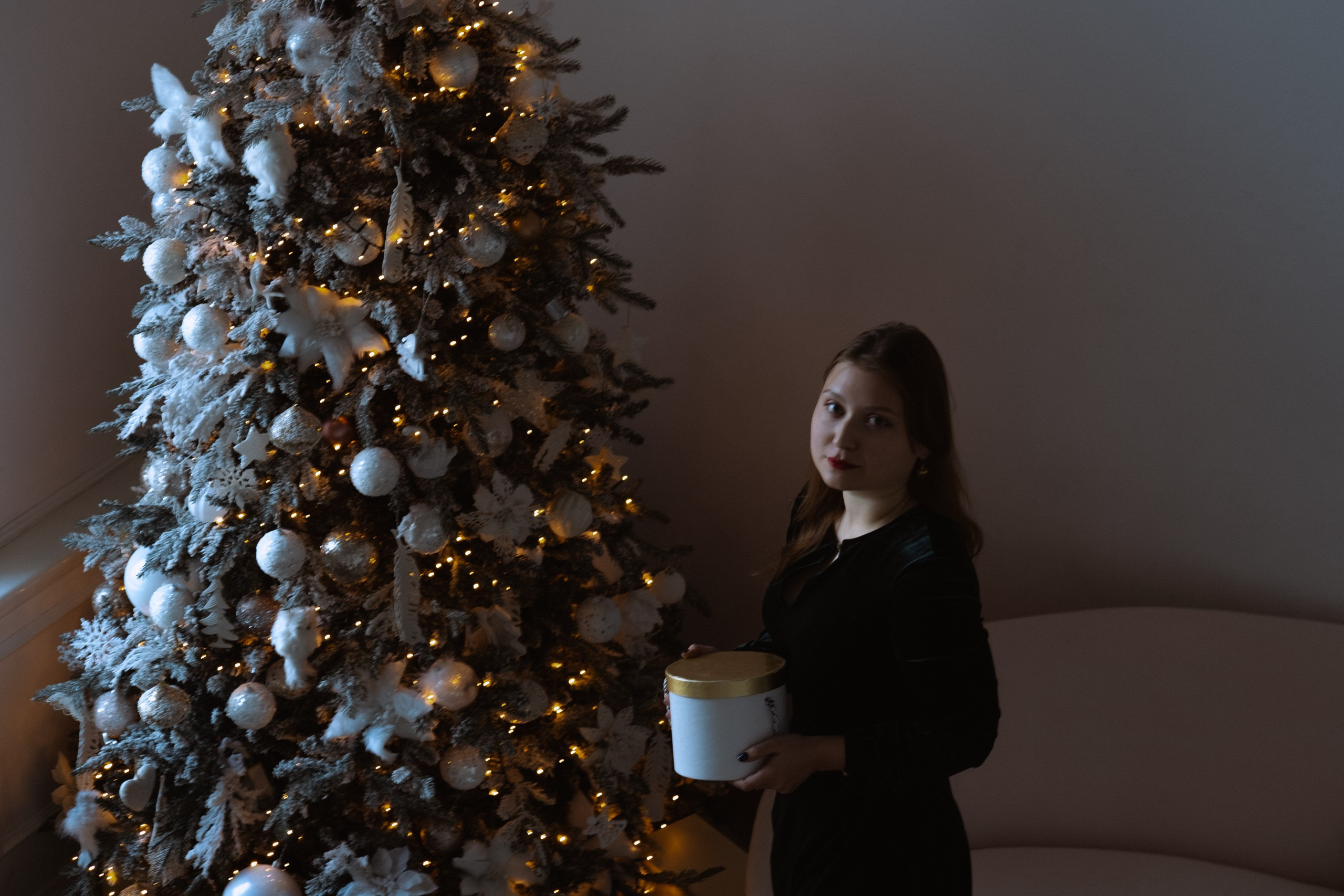 Новогодний стиль. Профессиональный фотограф, Санкт-Петербург — Виктория Богомолова