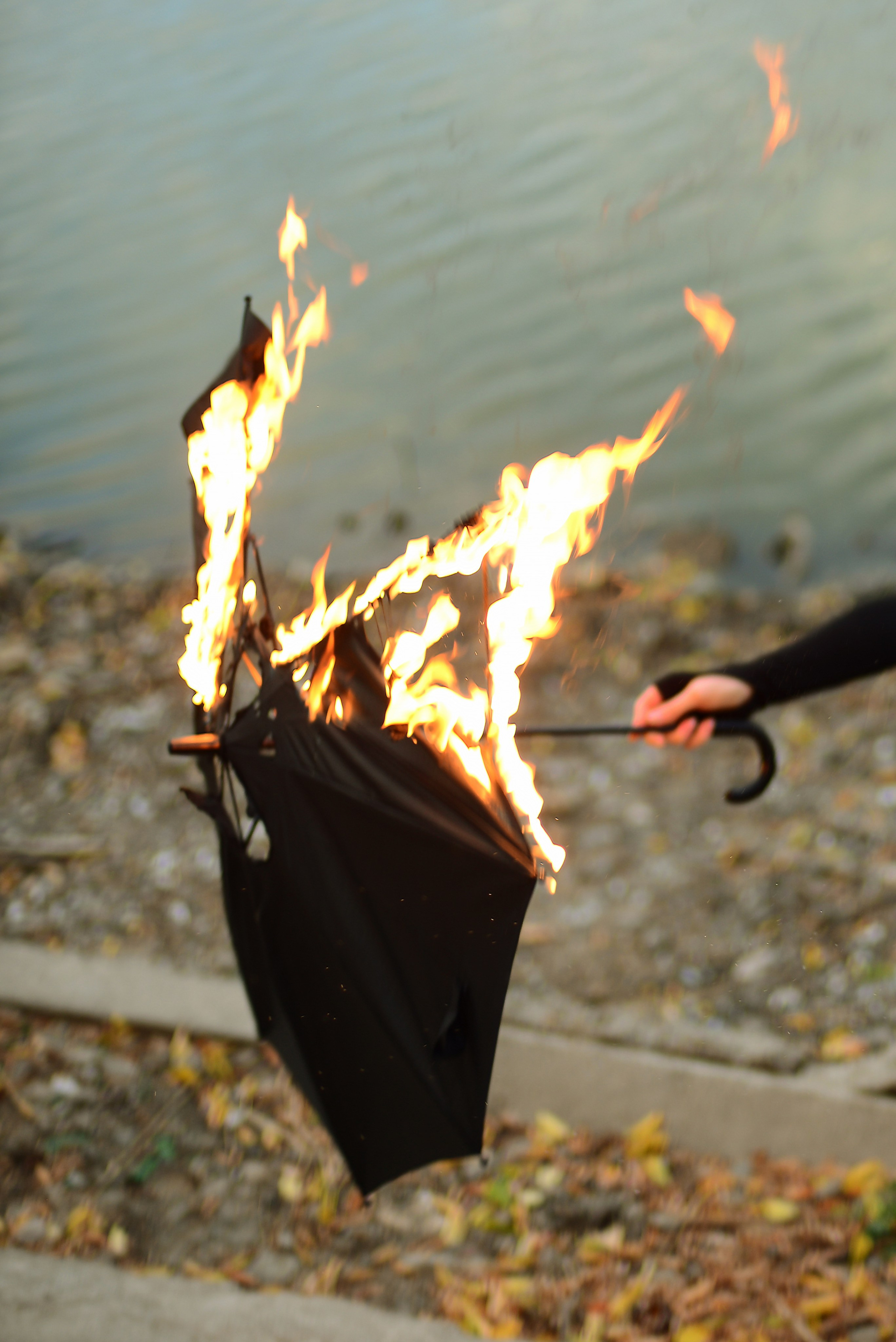 Осенняя фотосессия красивой девушки в черном платье с черным зонтиком на Луганском море. Зонт сожгли, он сгорел очень быстро.