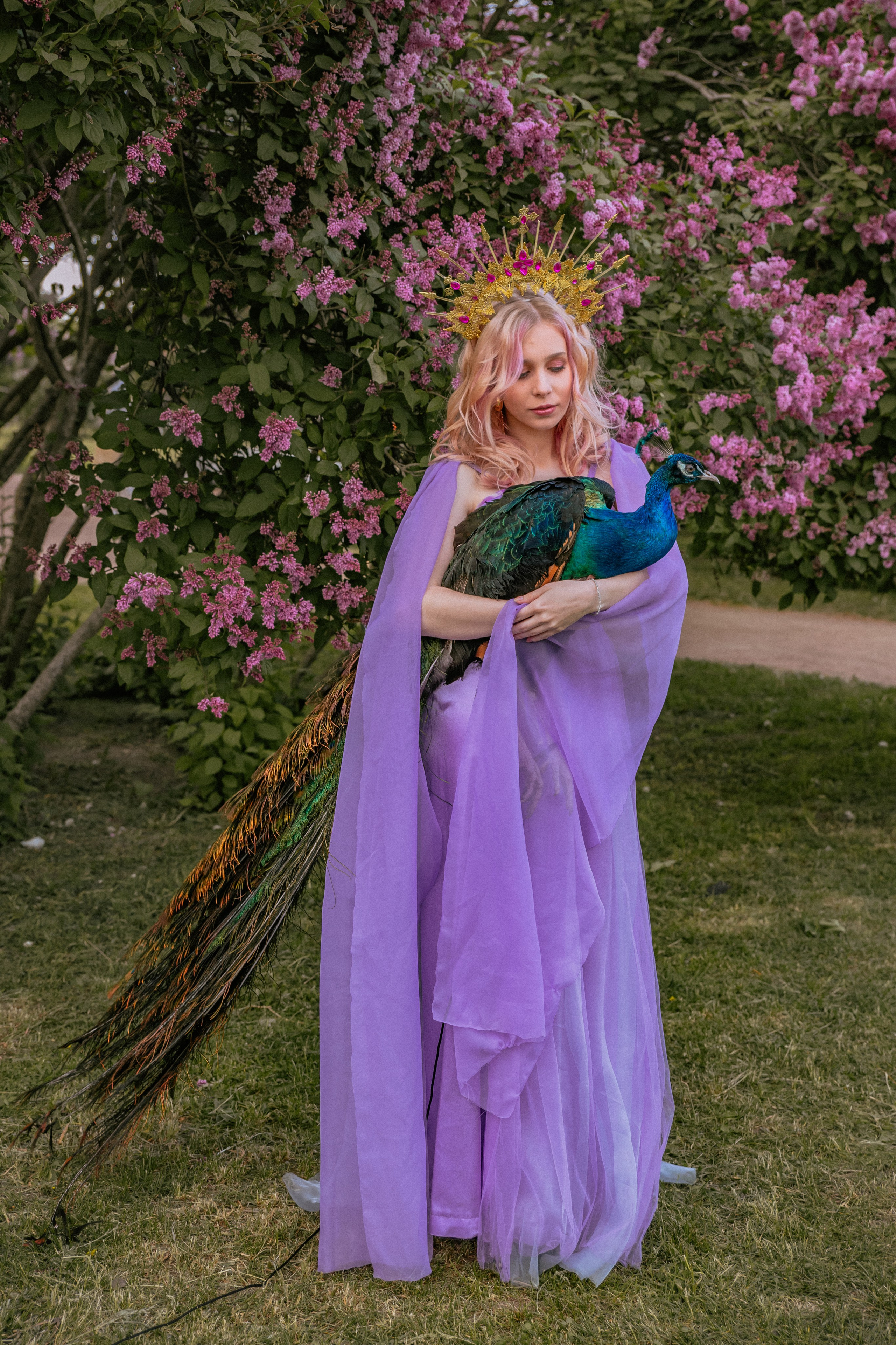 Павлин. Elena Sova — семейный и женский фотограф в Санкт-Петербурге