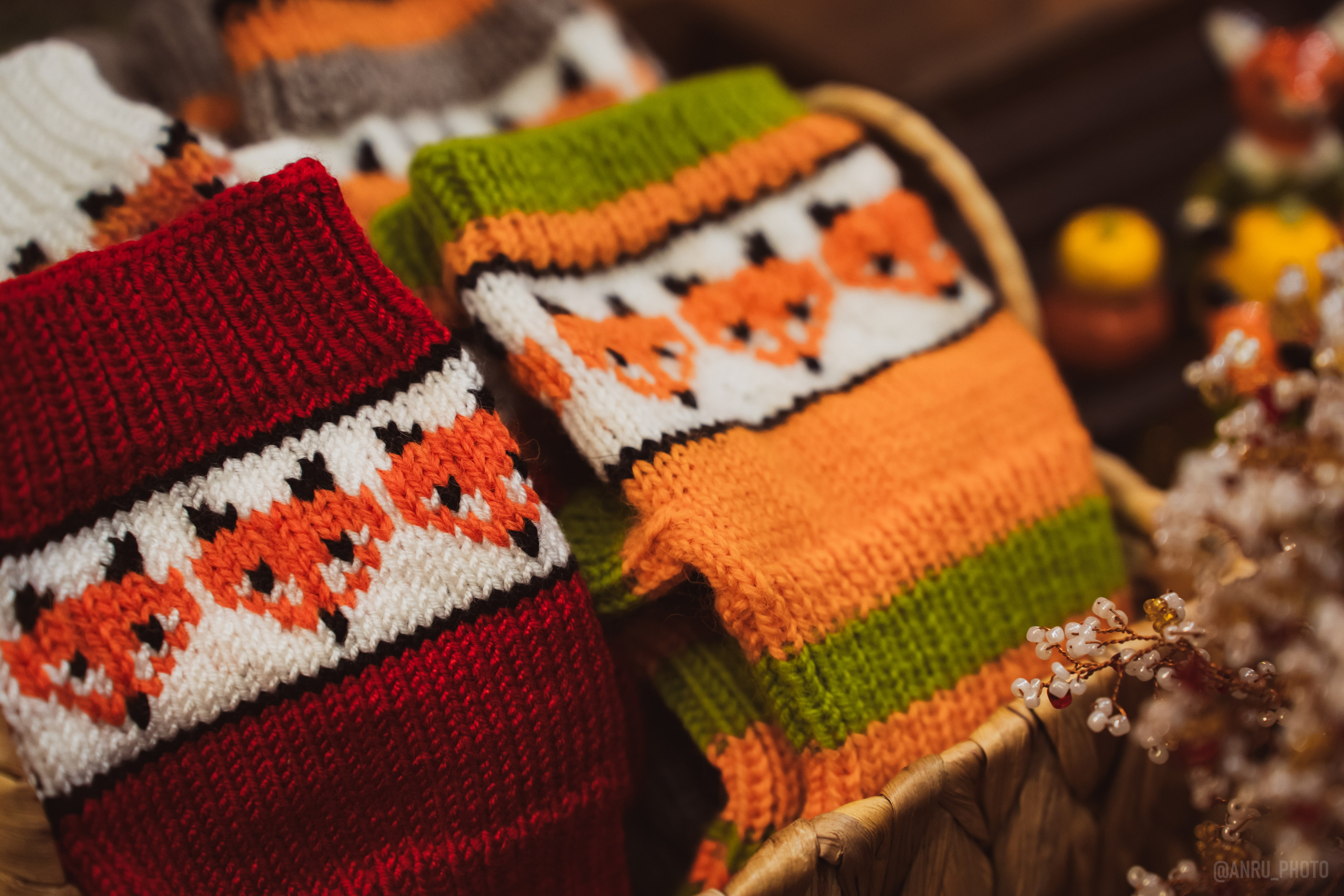 Fox Family fest. Репортажный фотограф Анастасия Рубцова