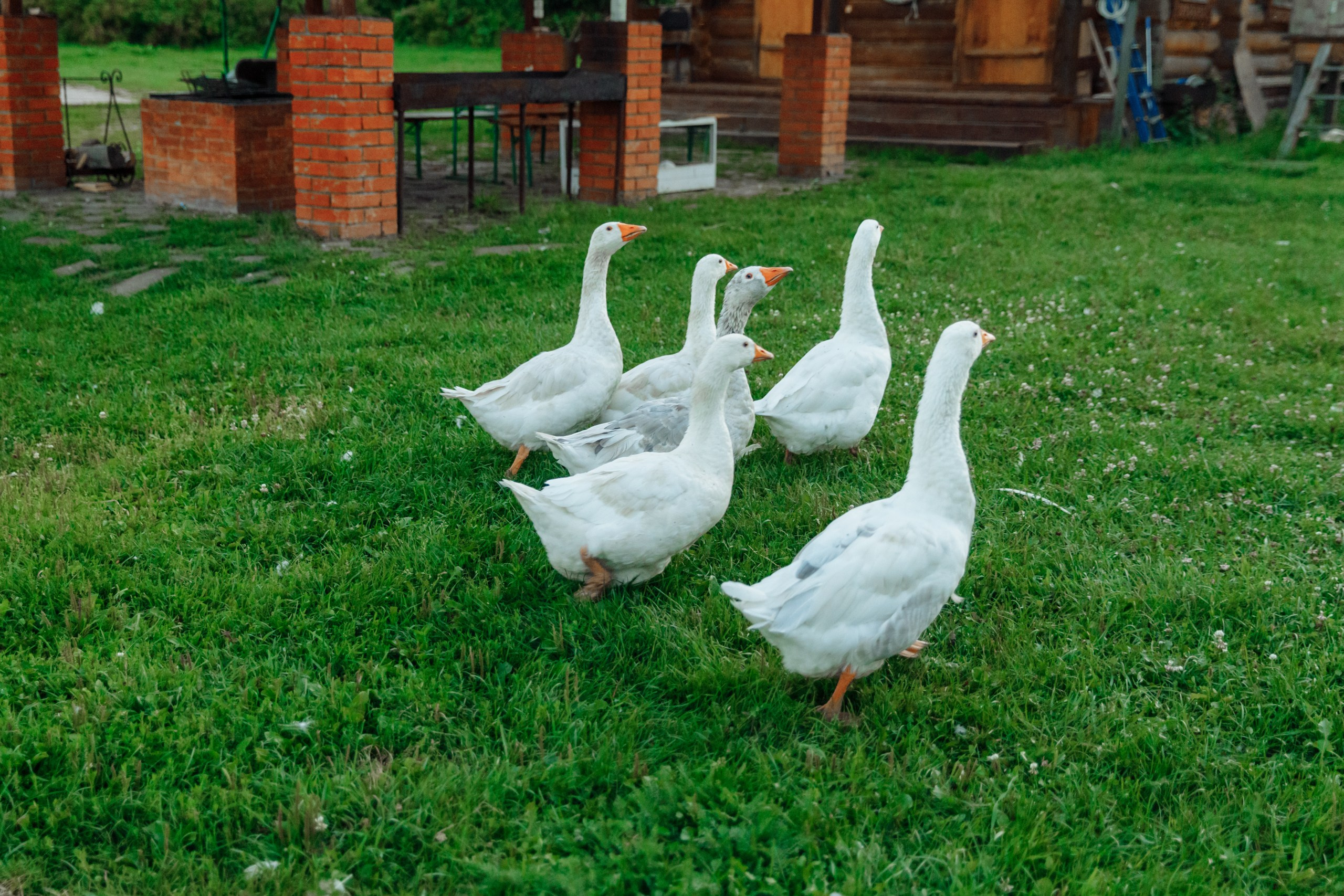 SUMMER. Motorkon. Свадебный фотограф в Ярославле Анастасия Архипова