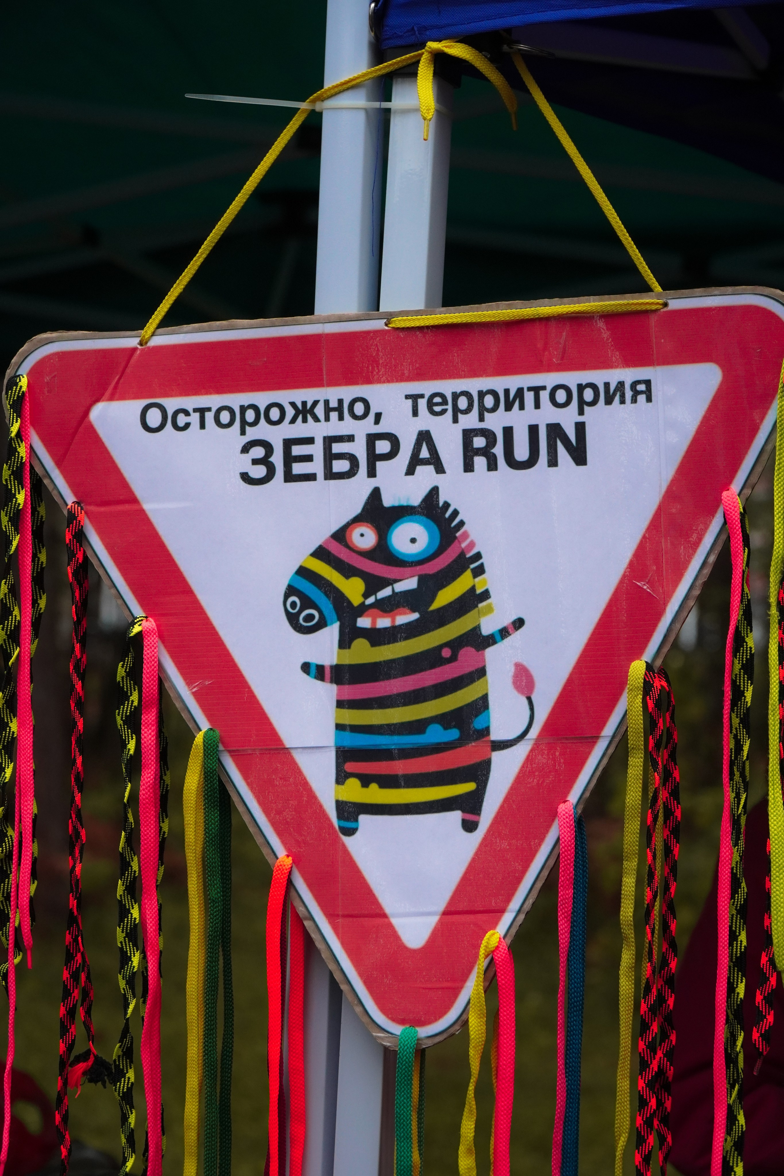 5 вёрст Томилинский 3 года 18 октября 2025. Роман Капилюшов. Бег. Фото. Видео. г. Люберцы