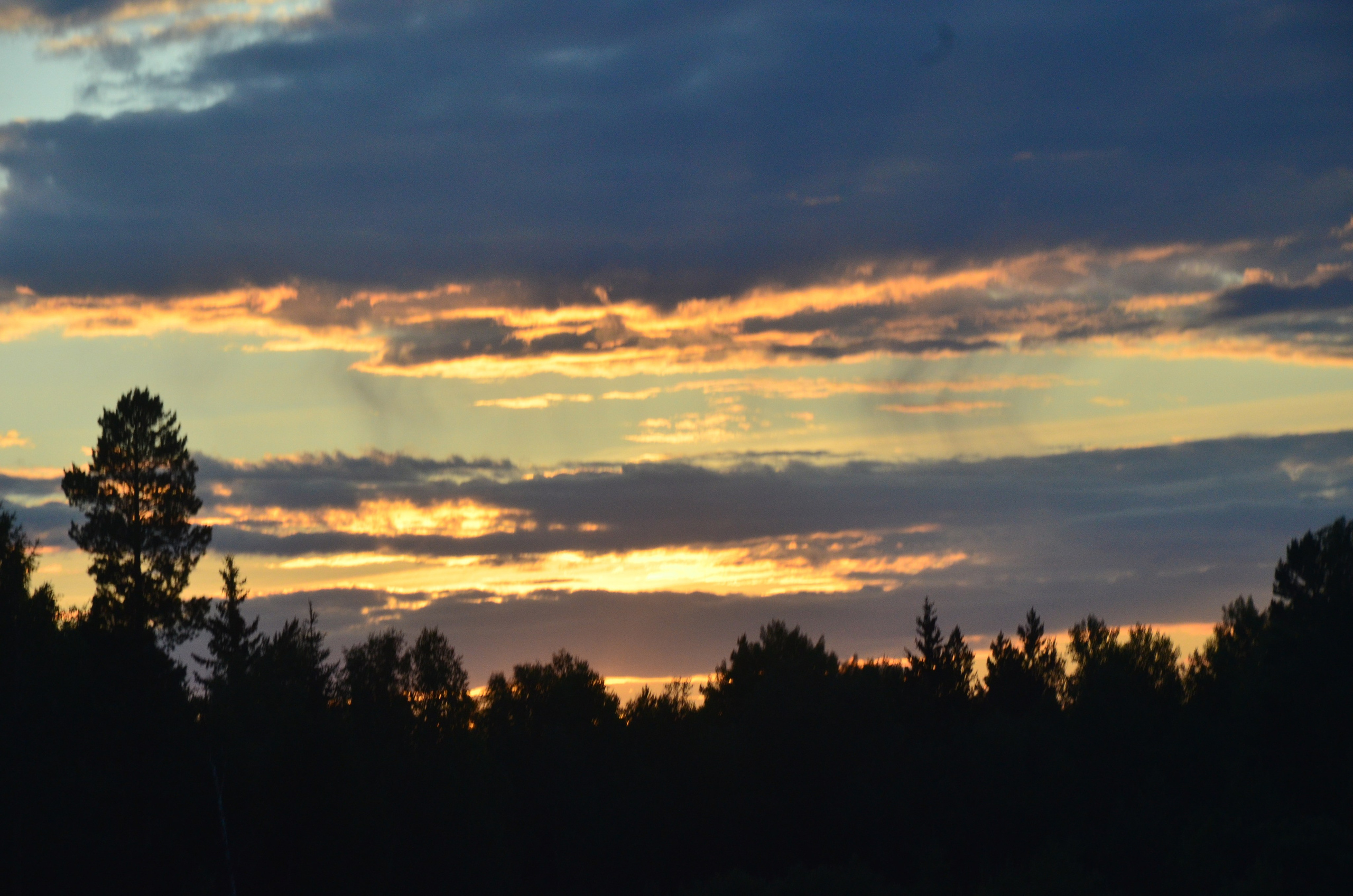 Дары природы. Фотограф viktor viktor
