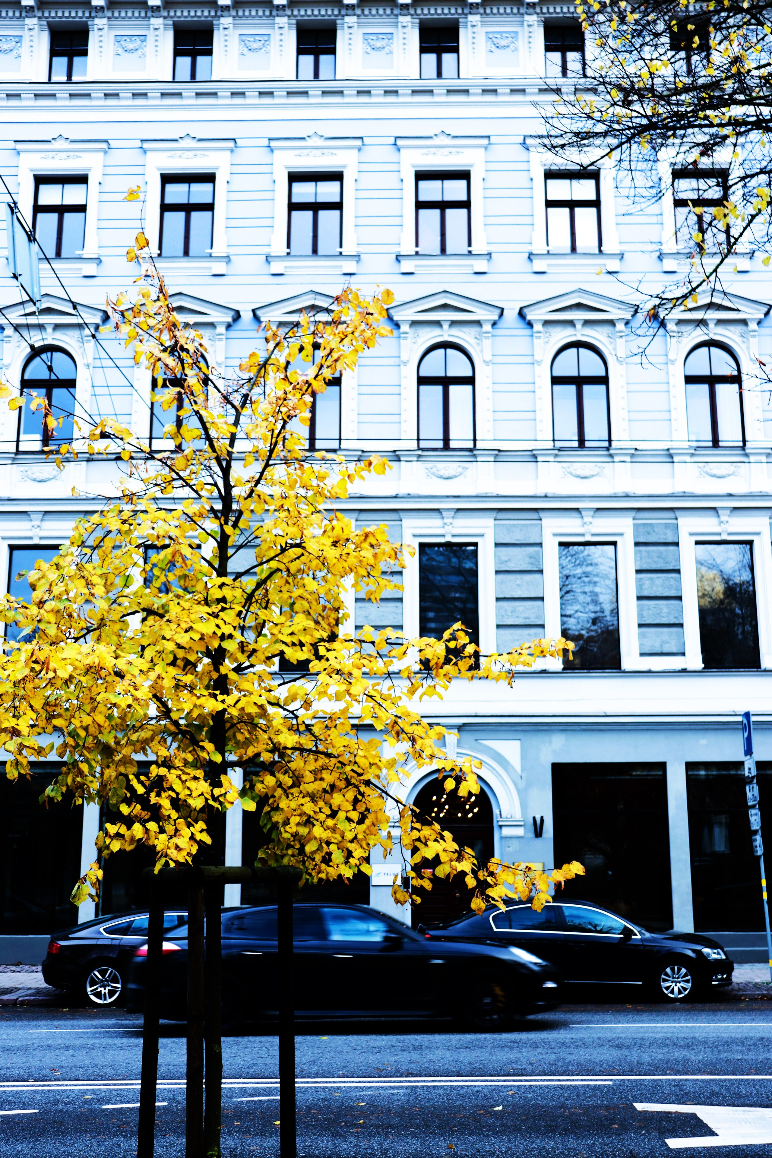 Riga. Juliarubis.com